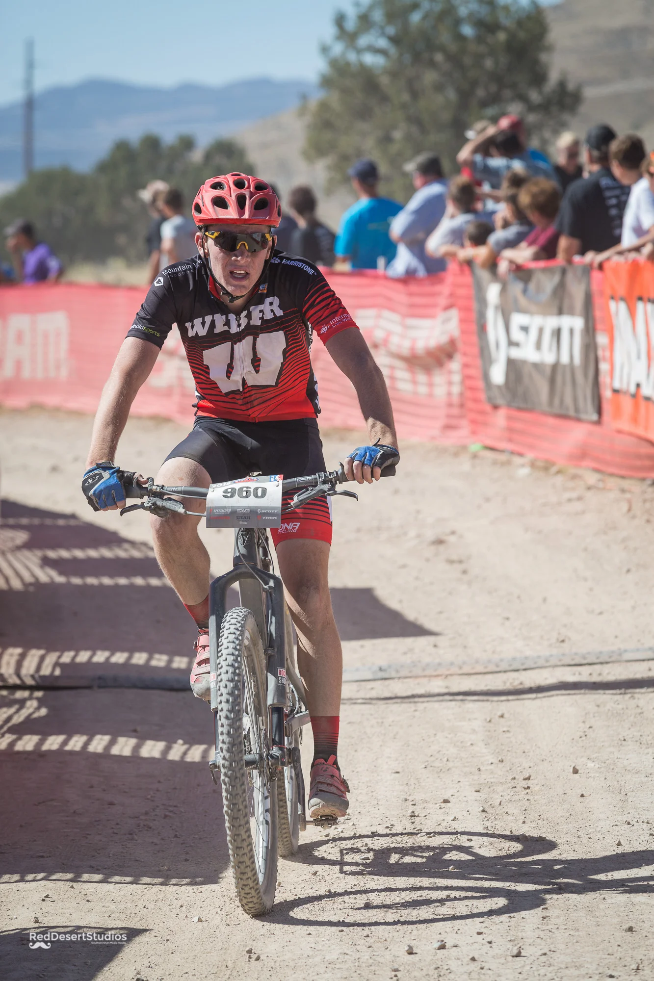 960 Web (6 of 8).JPG