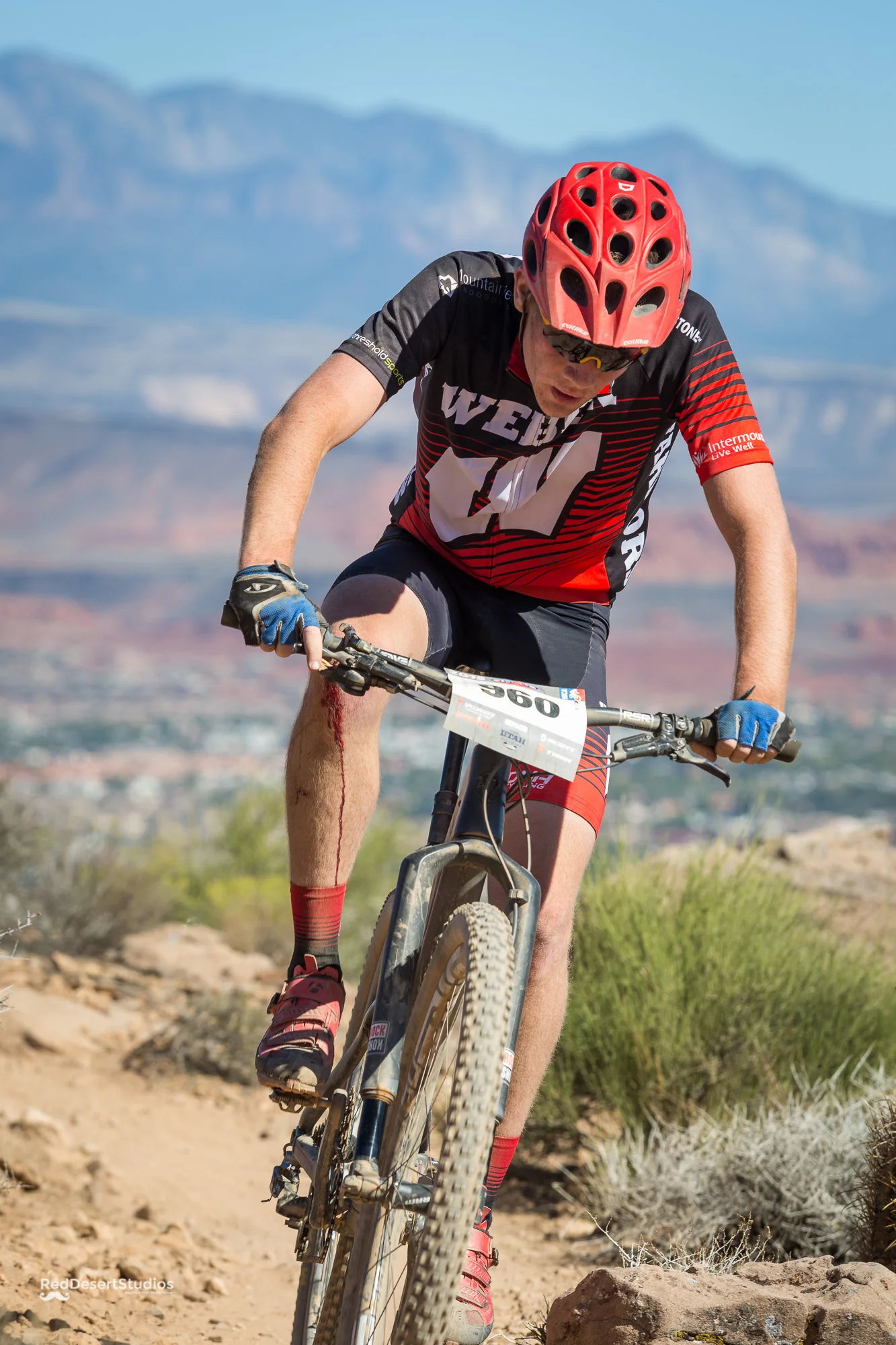 960 Web (7 of 8).JPG