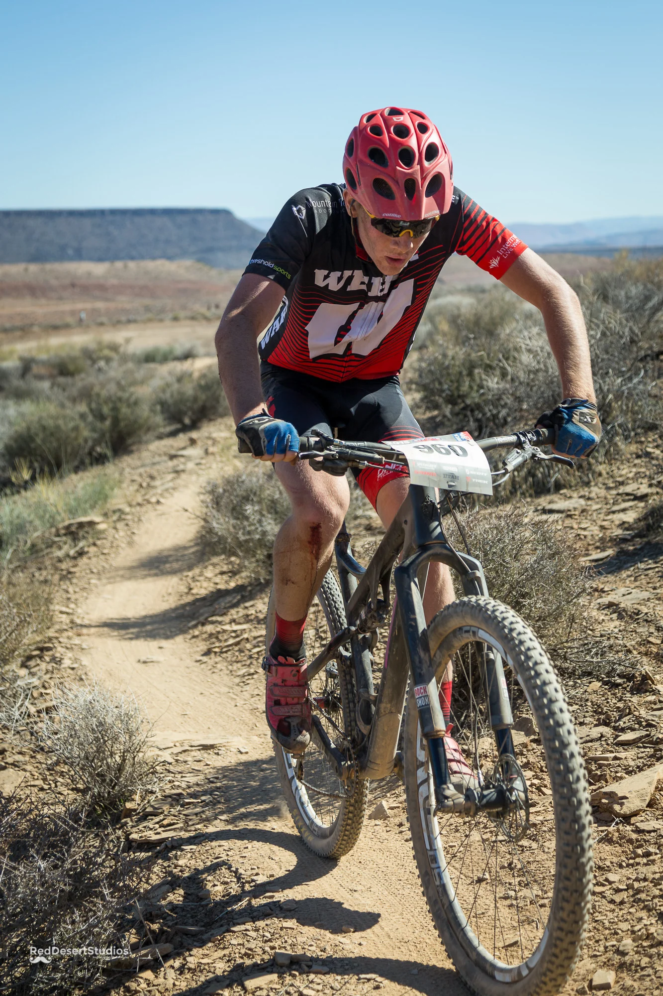 960 Web (8 of 8).JPG