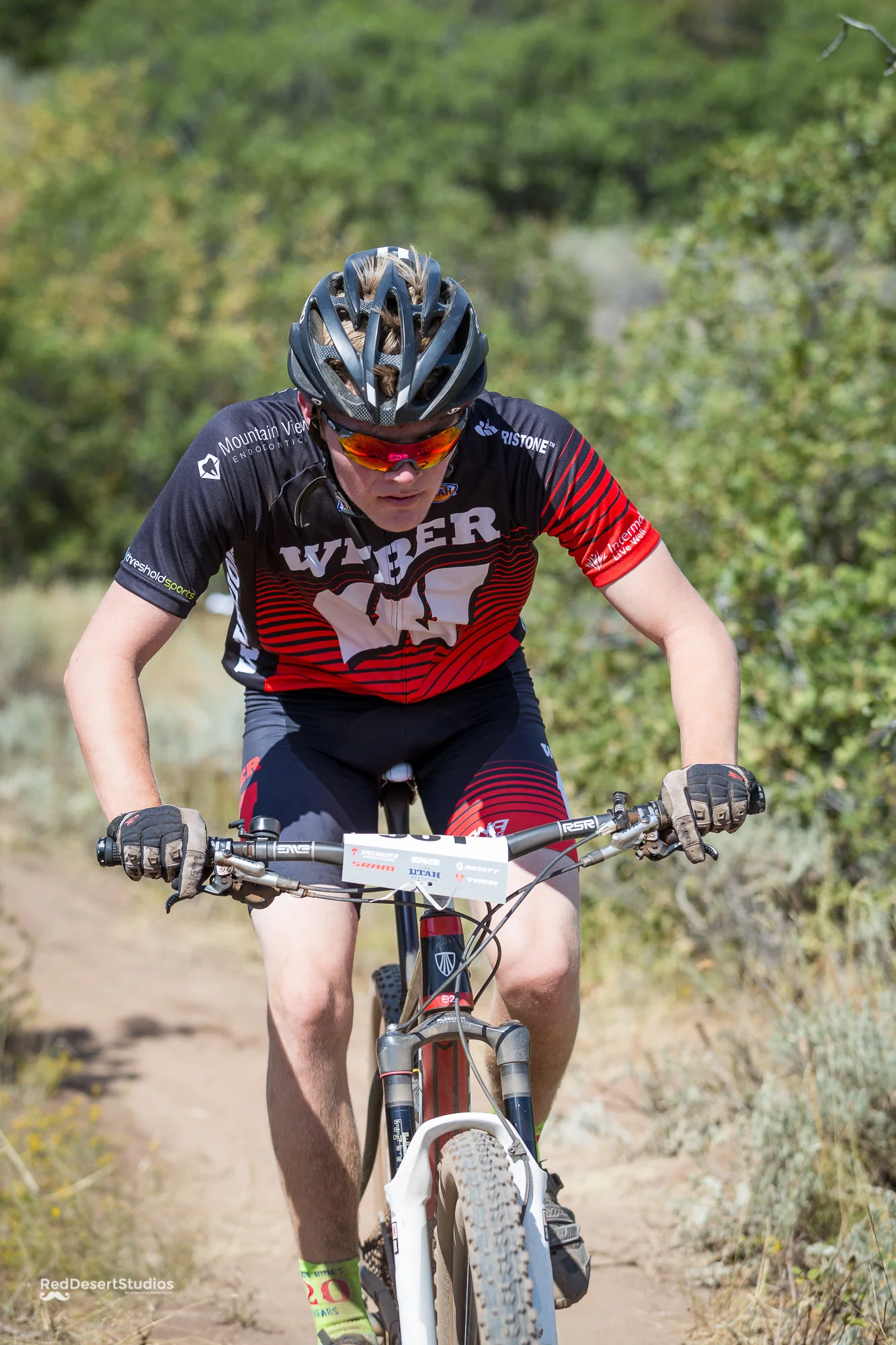 961 Web (1 of 5).JPG