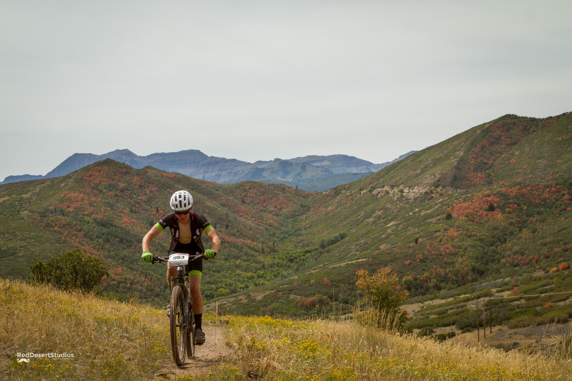 963 Web (4 of 6).JPG