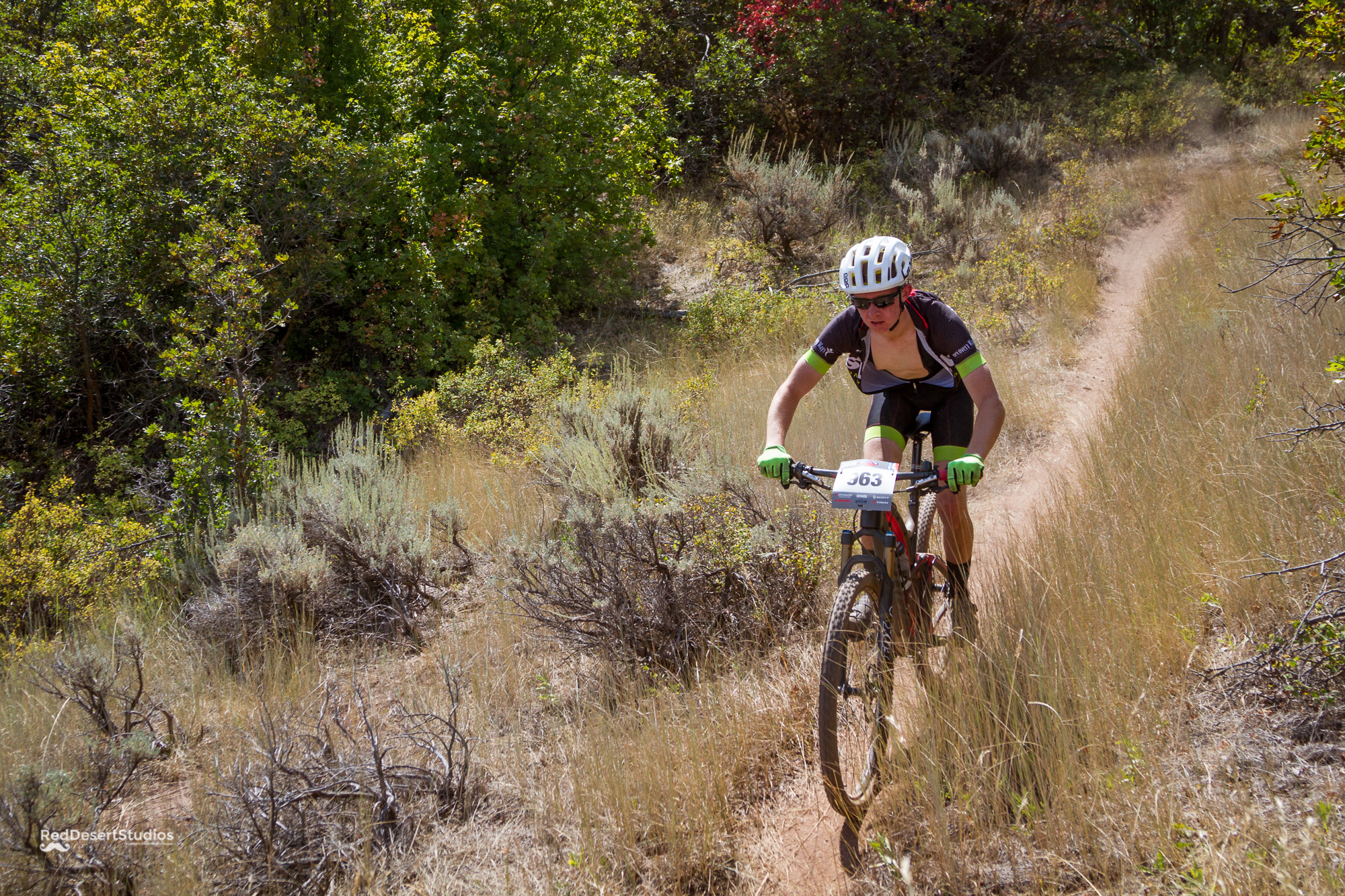 963 Web (3 of 6).JPG