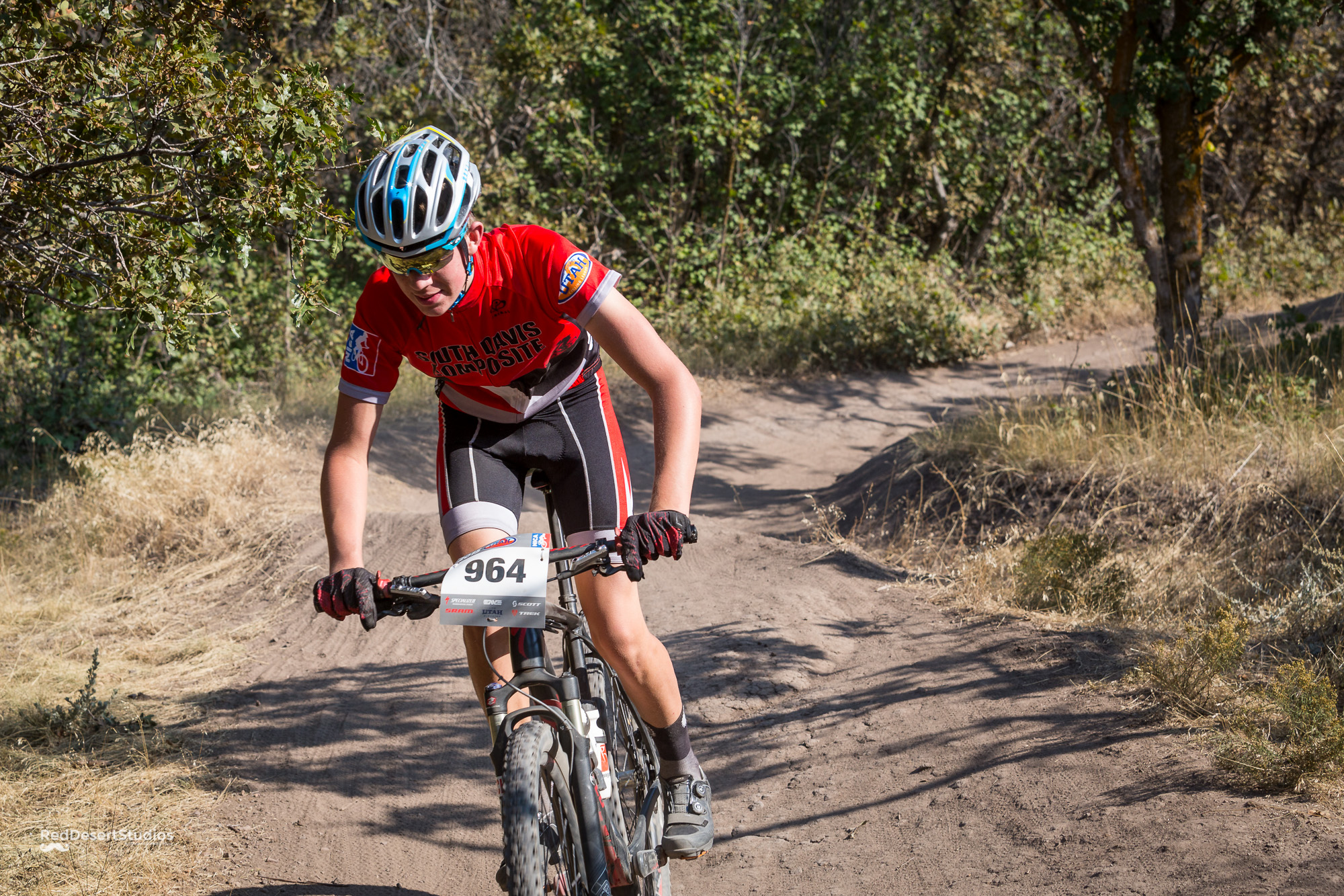 964 Web (2 of 9).JPG