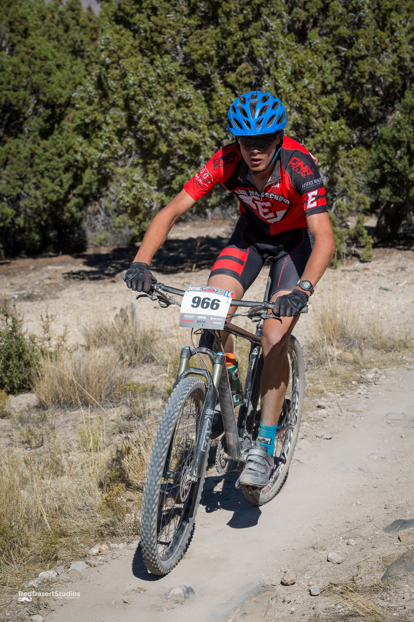 966 Web (3 of 6).JPG