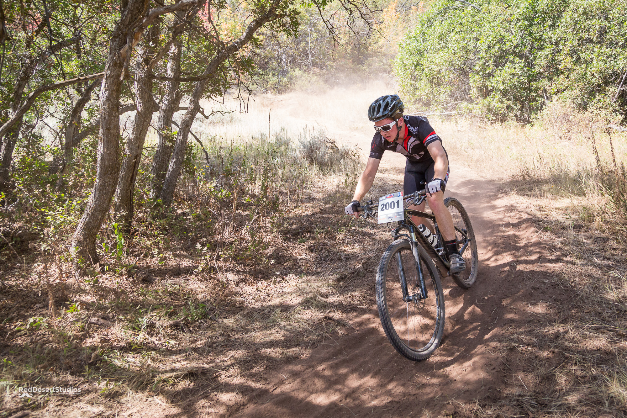 2001 Web (1 of 6).JPG