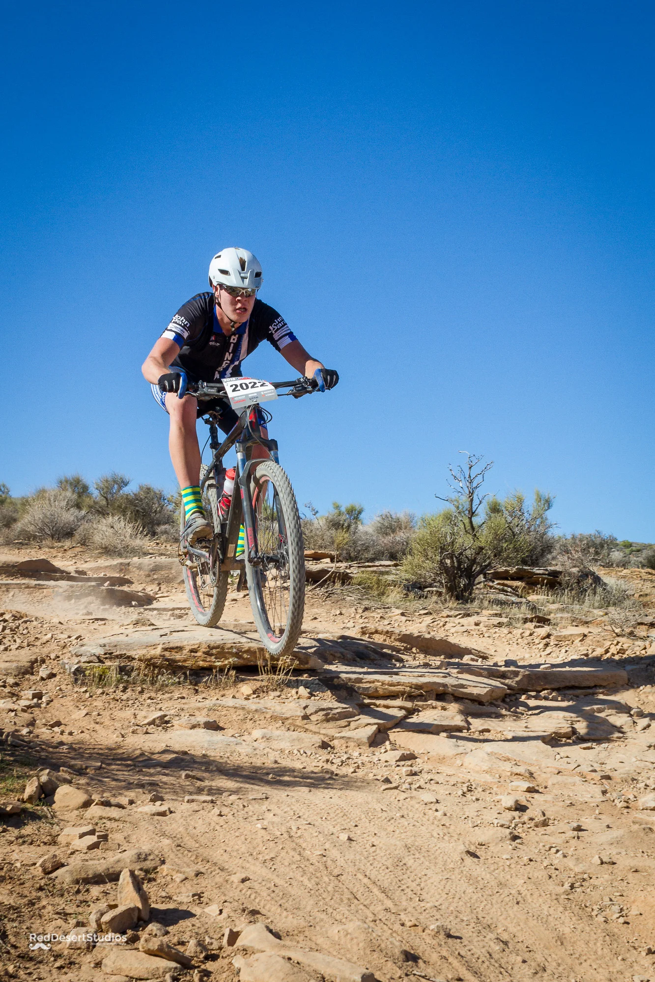 2022 Web (6 of 6).JPG