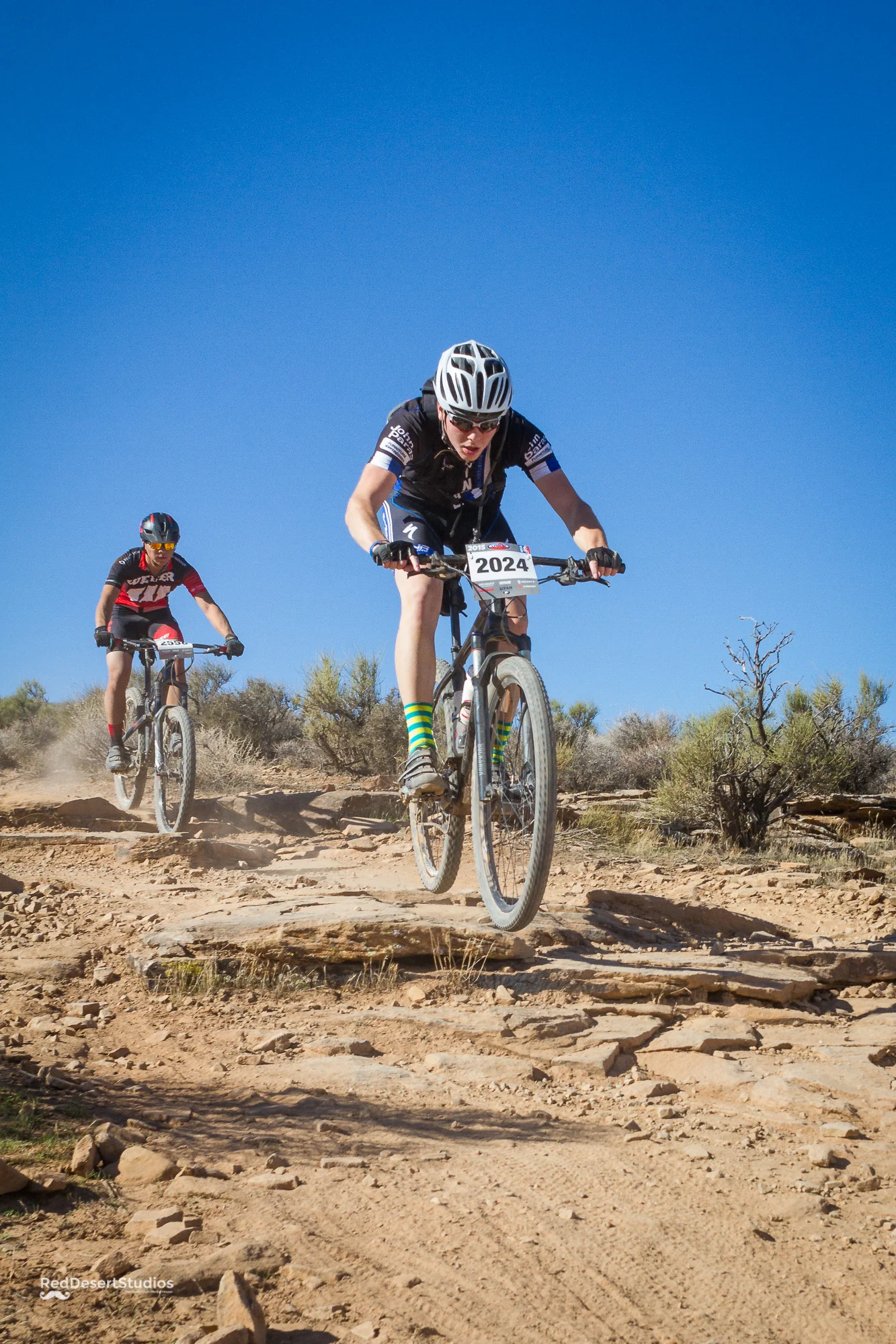 2024 Web (6 of 6).JPG