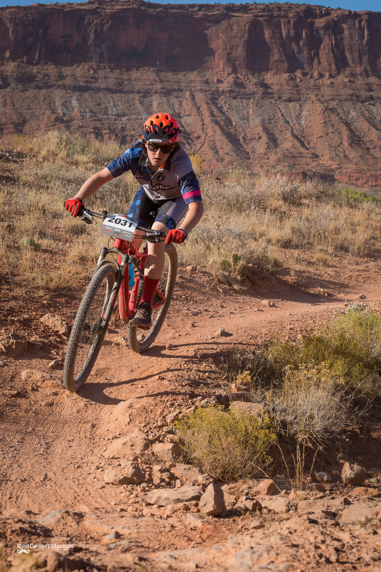 2031 Web (2 of 3).JPG