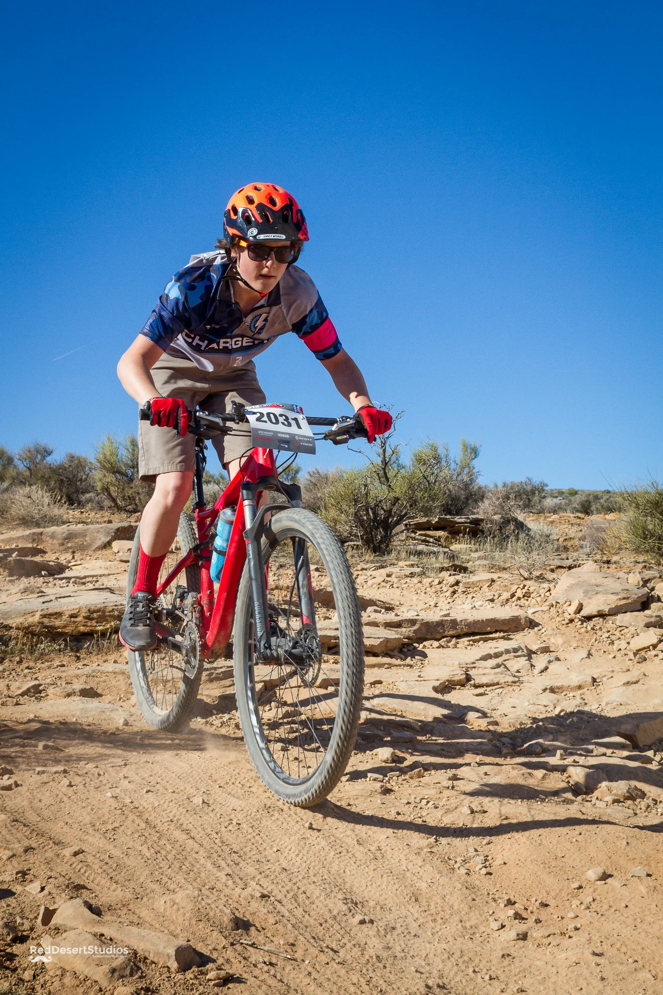 2031 Web (3 of 3).JPG