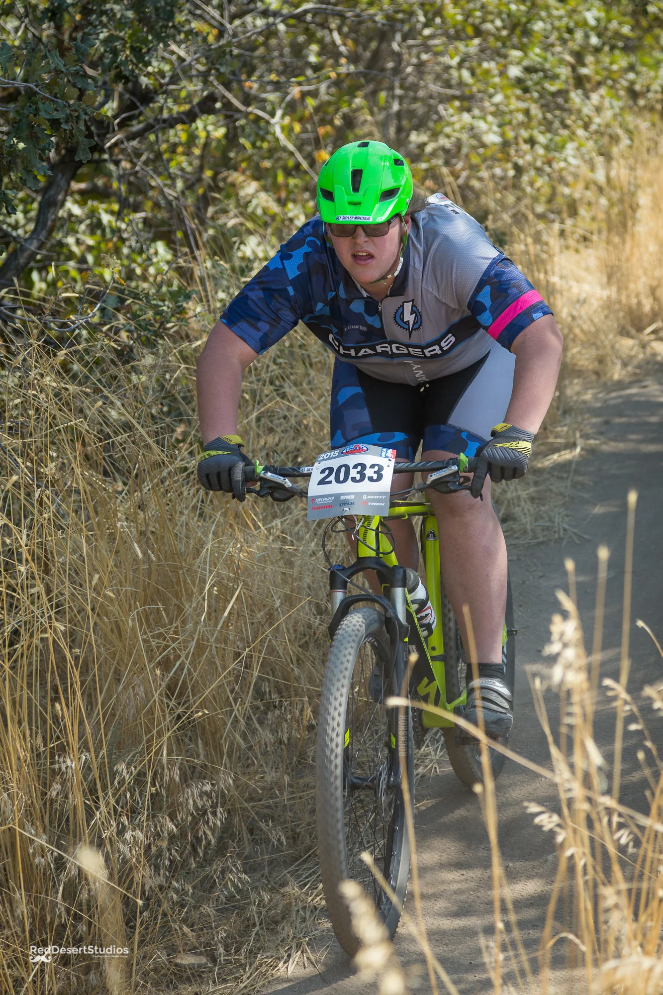 2033 Web (2 of 4).JPG