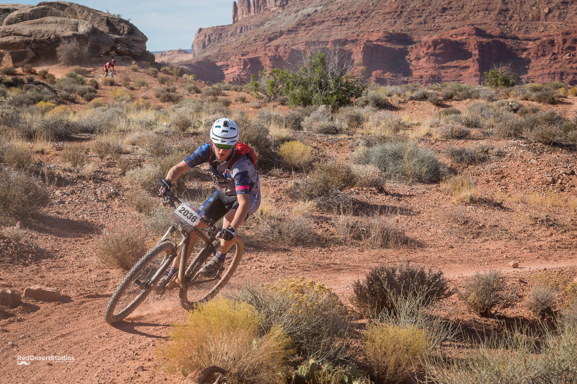 2036 Web (3 of 5).JPG