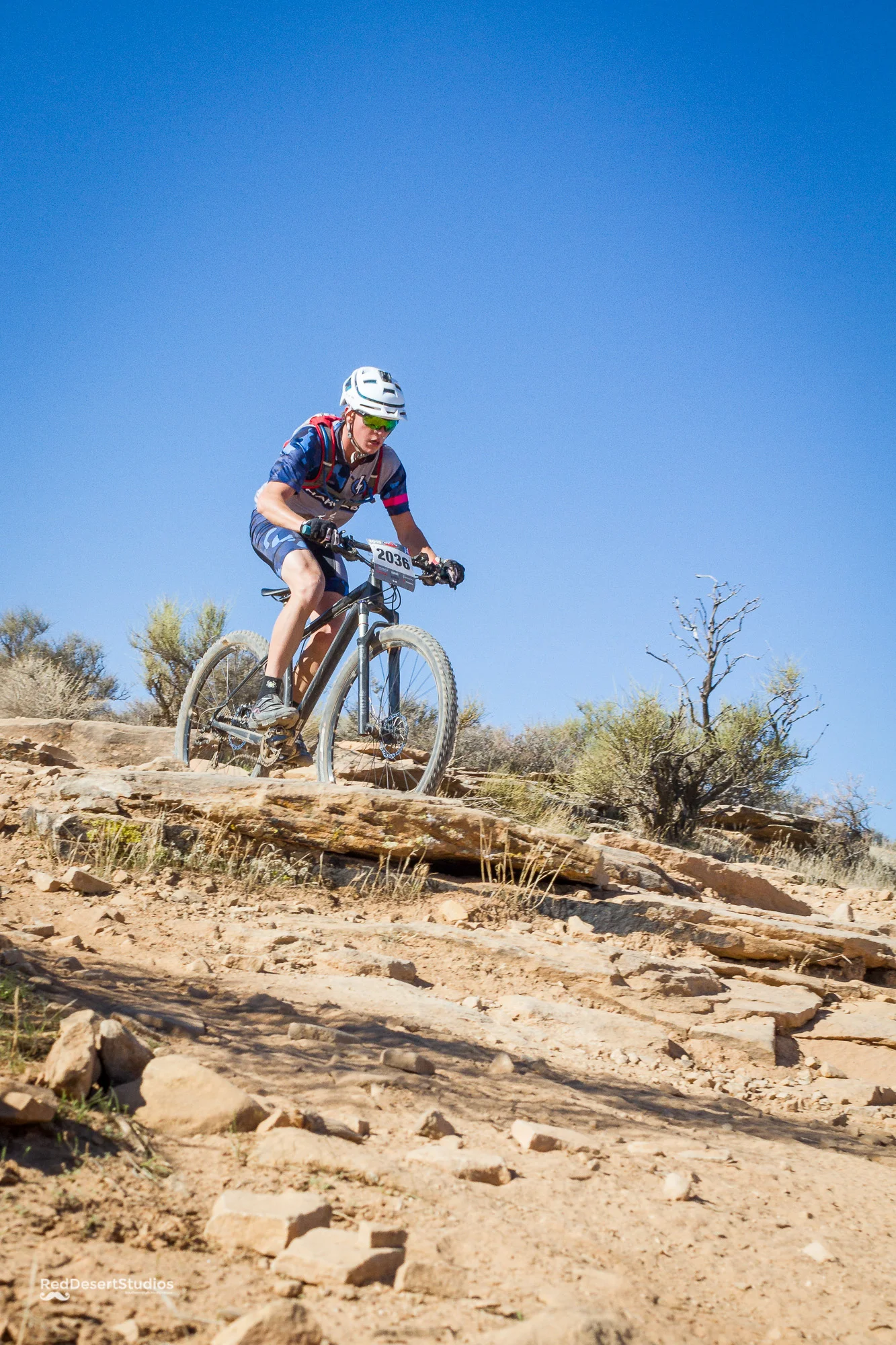 2036 Web (5 of 5).JPG