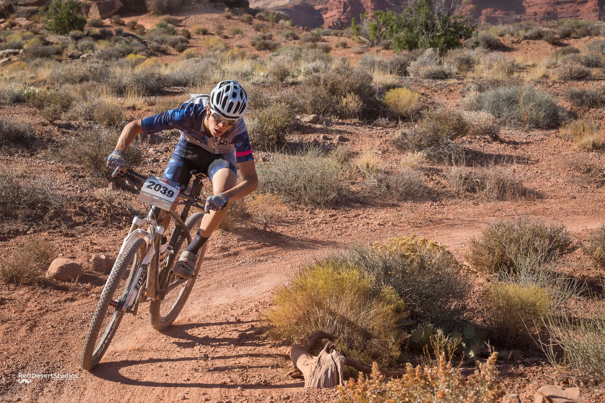 2039 Web (4 of 6).JPG