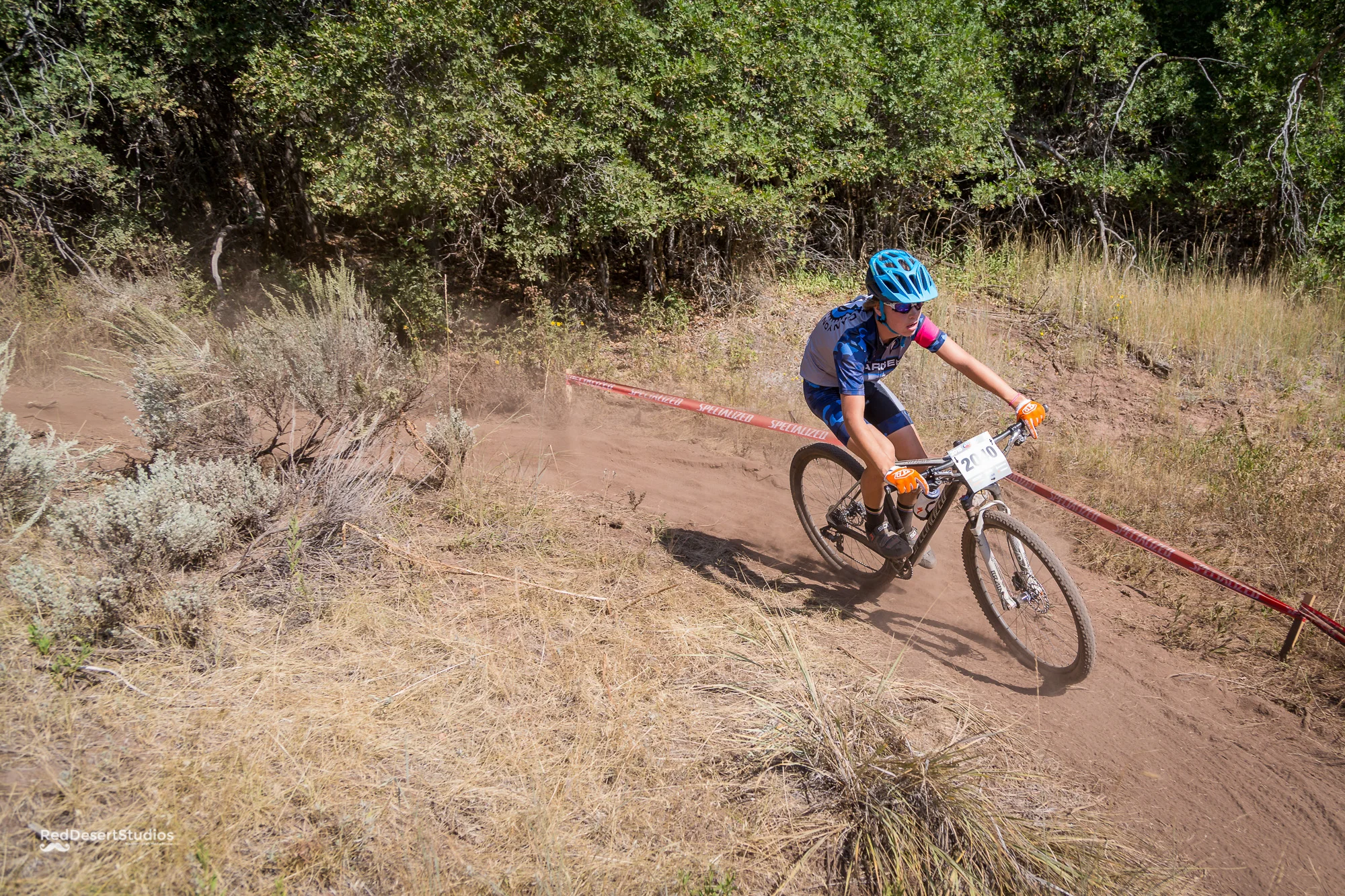 2040 Web (1 of 6).JPG