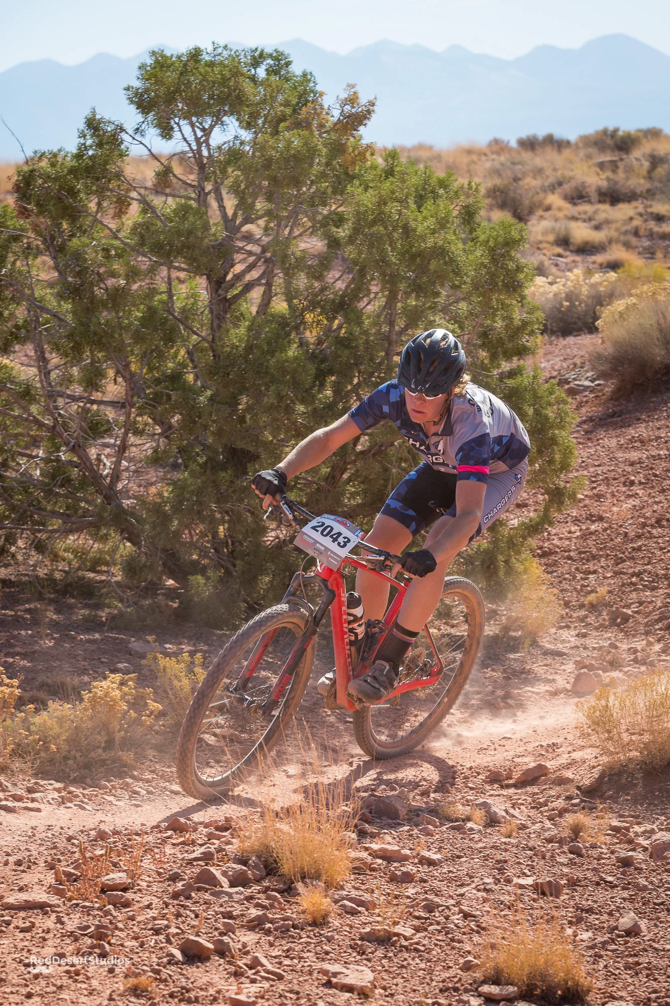 2043 Web (3 of 4).JPG