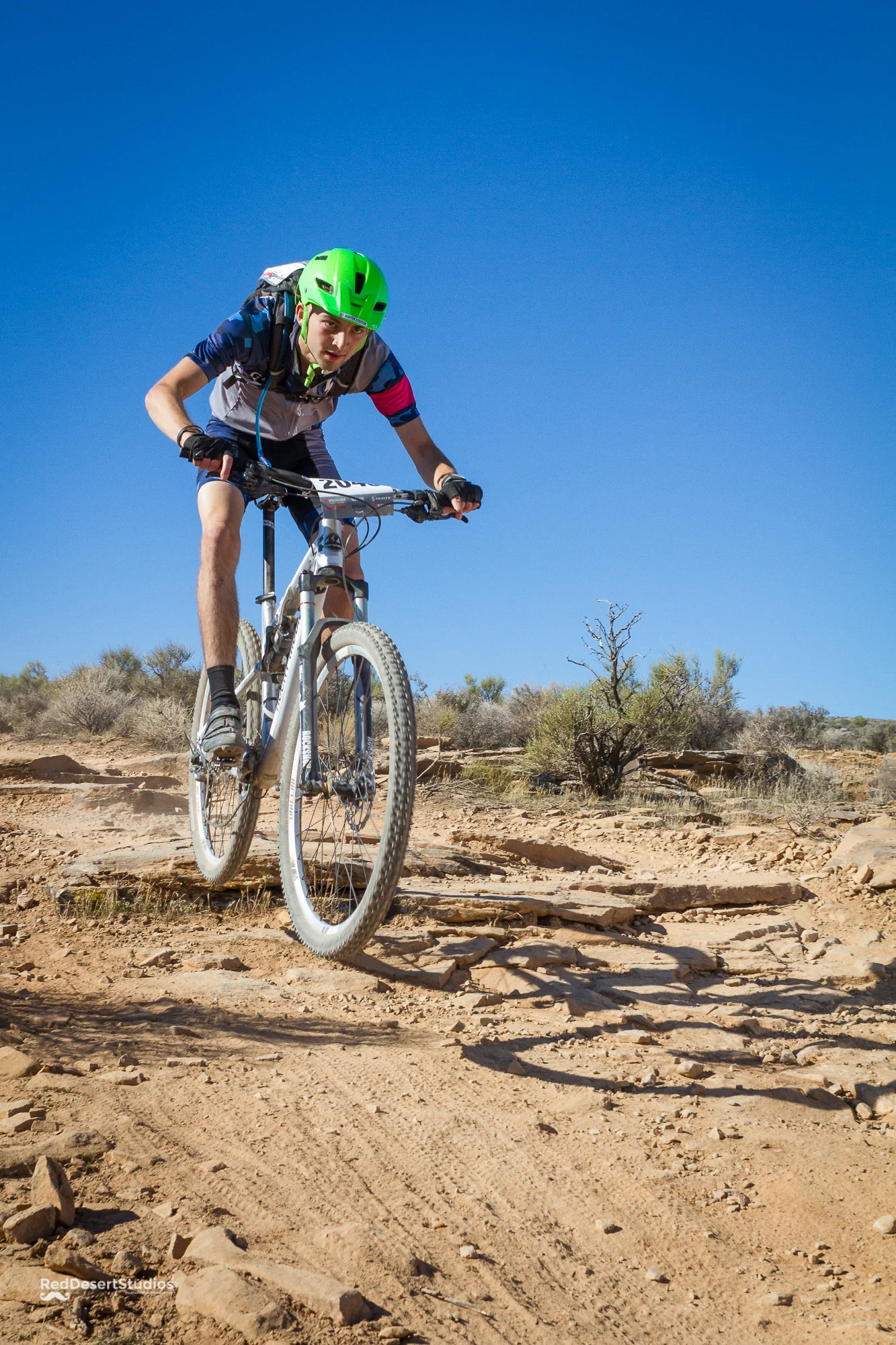 2045 Web (4 of 4).JPG