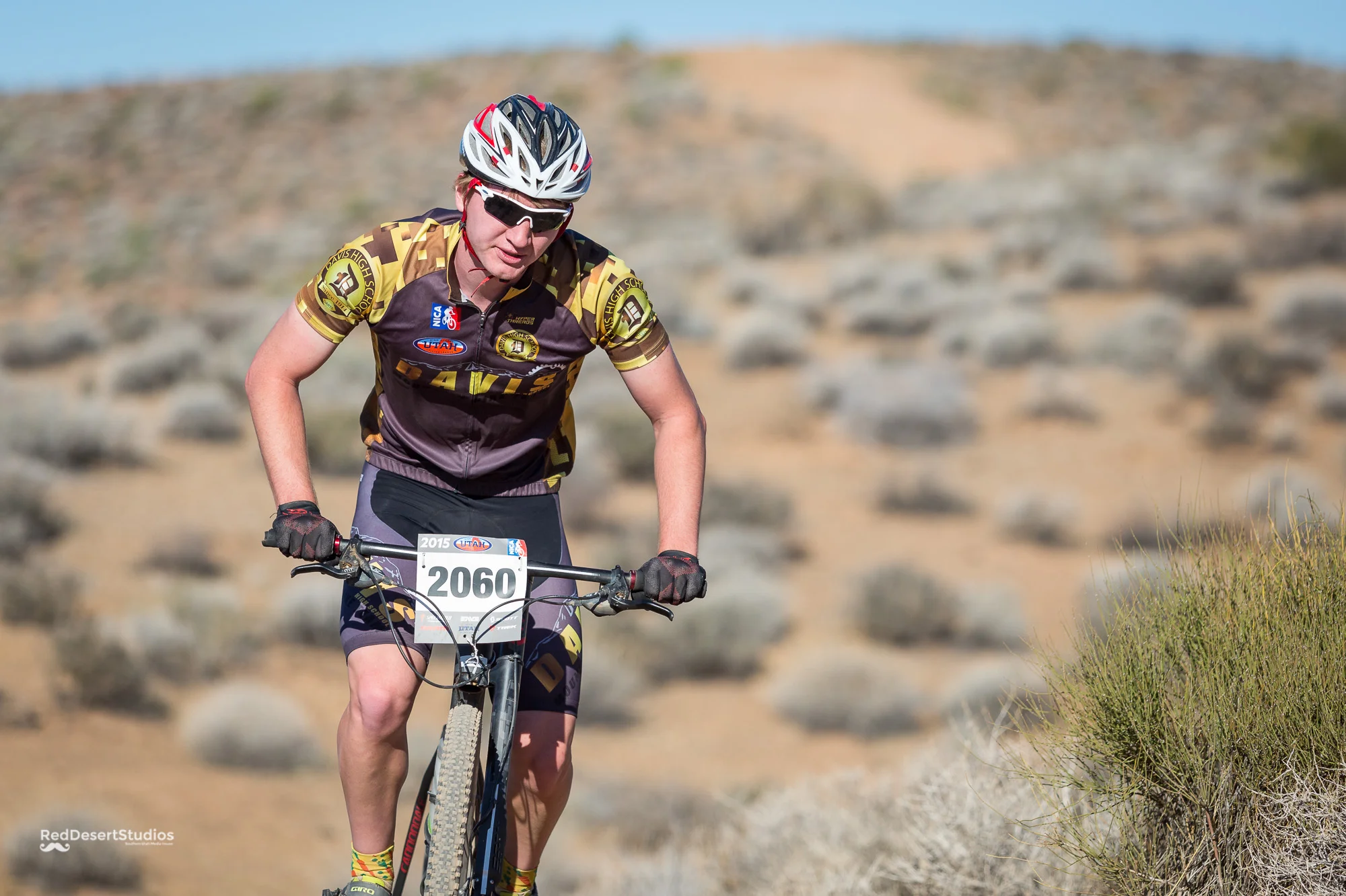 2060 Web (2 of 3).JPG