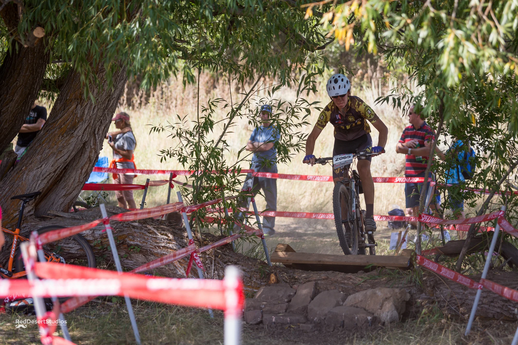 2065 Web (2 of 5).JPG