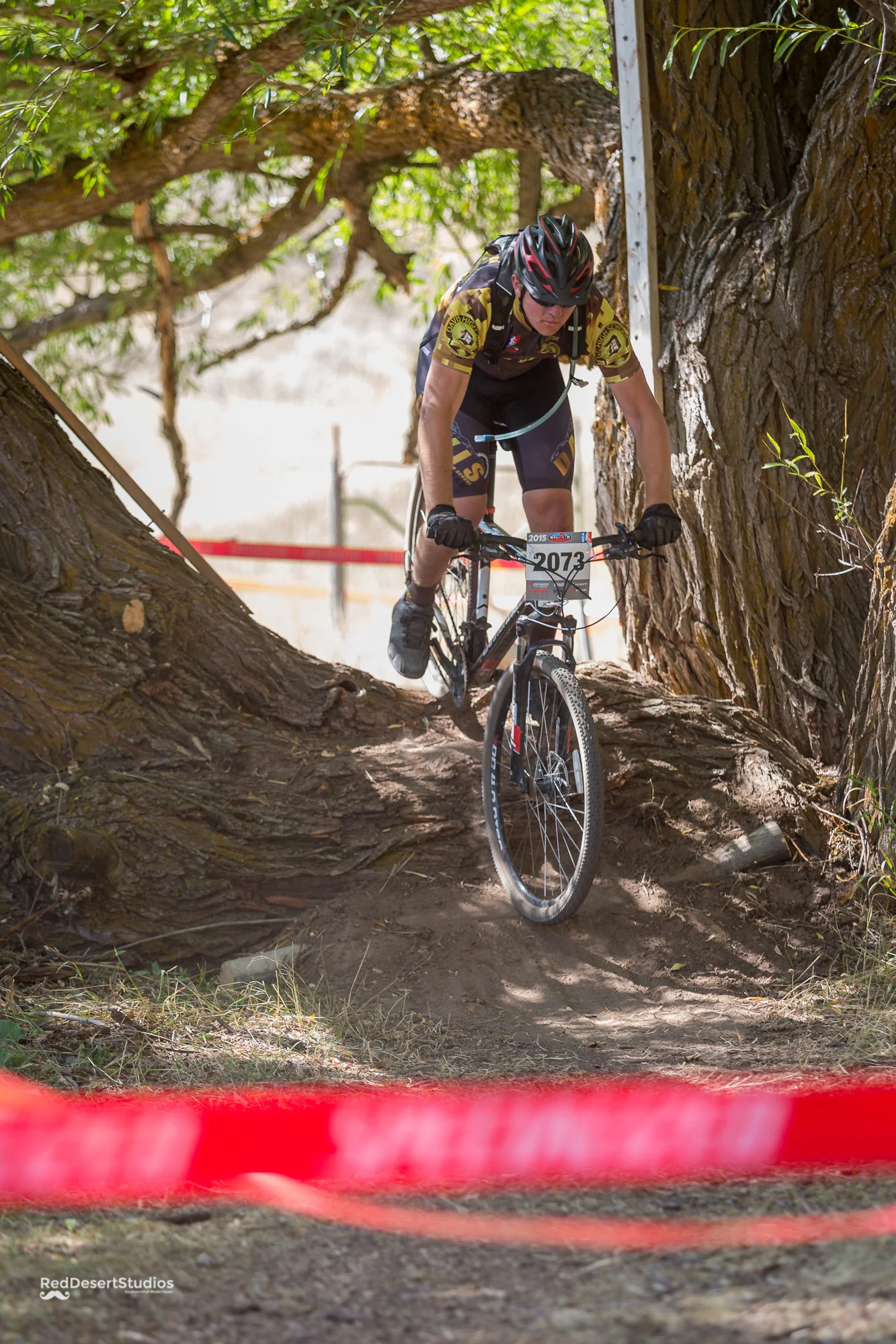 2073 Web (2 of 4).JPG