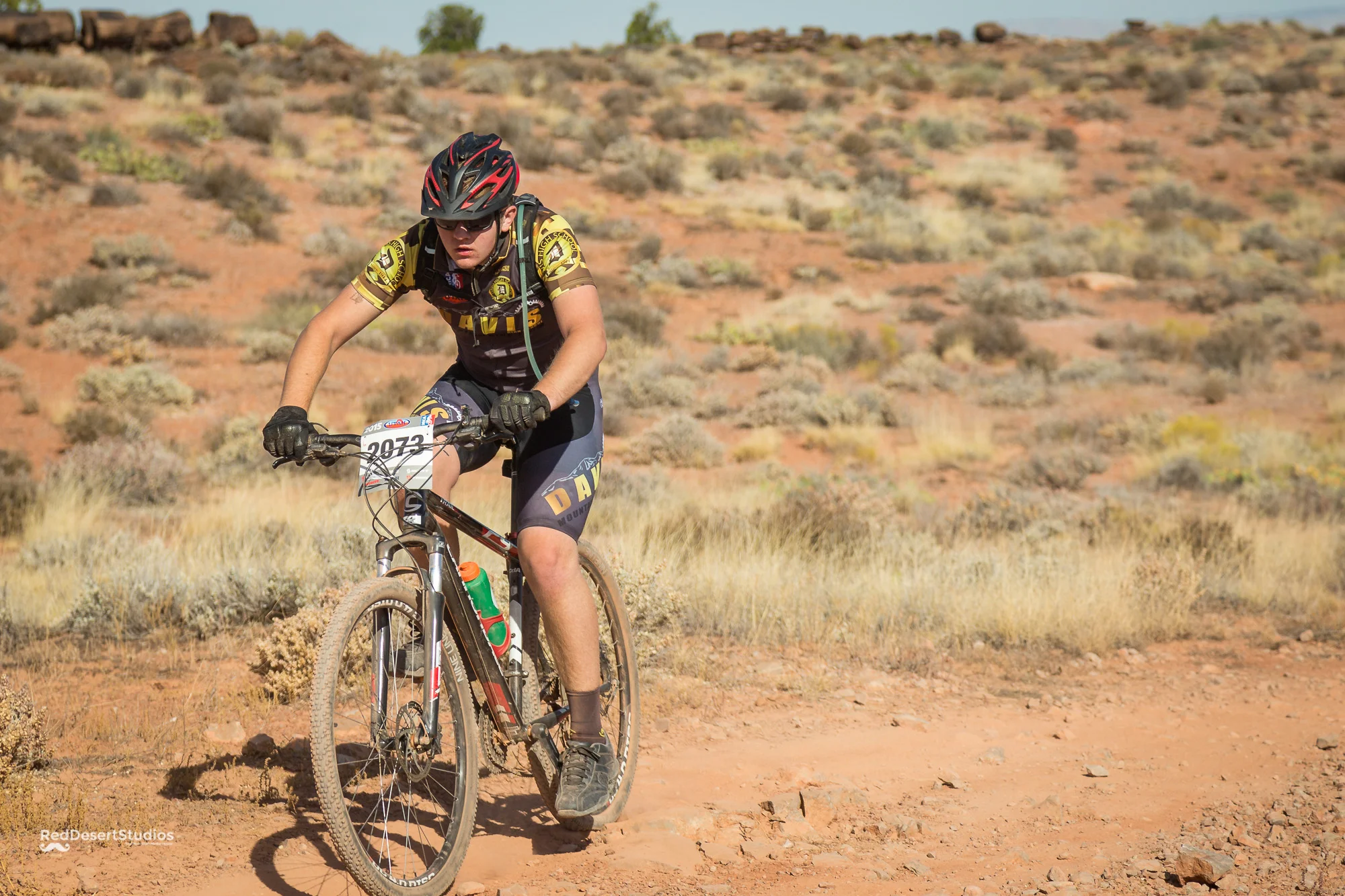 2073 Web (4 of 4).JPG