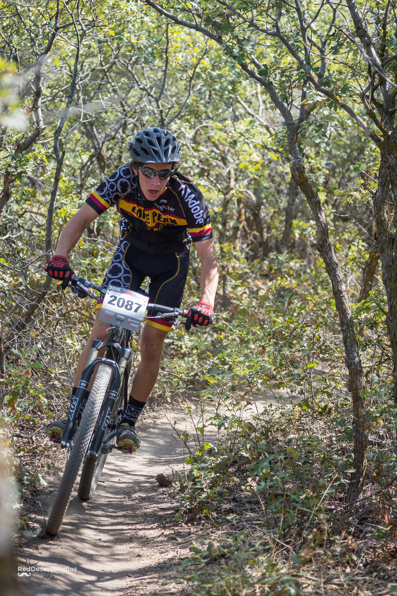 2087 Web (2 of 6).JPG