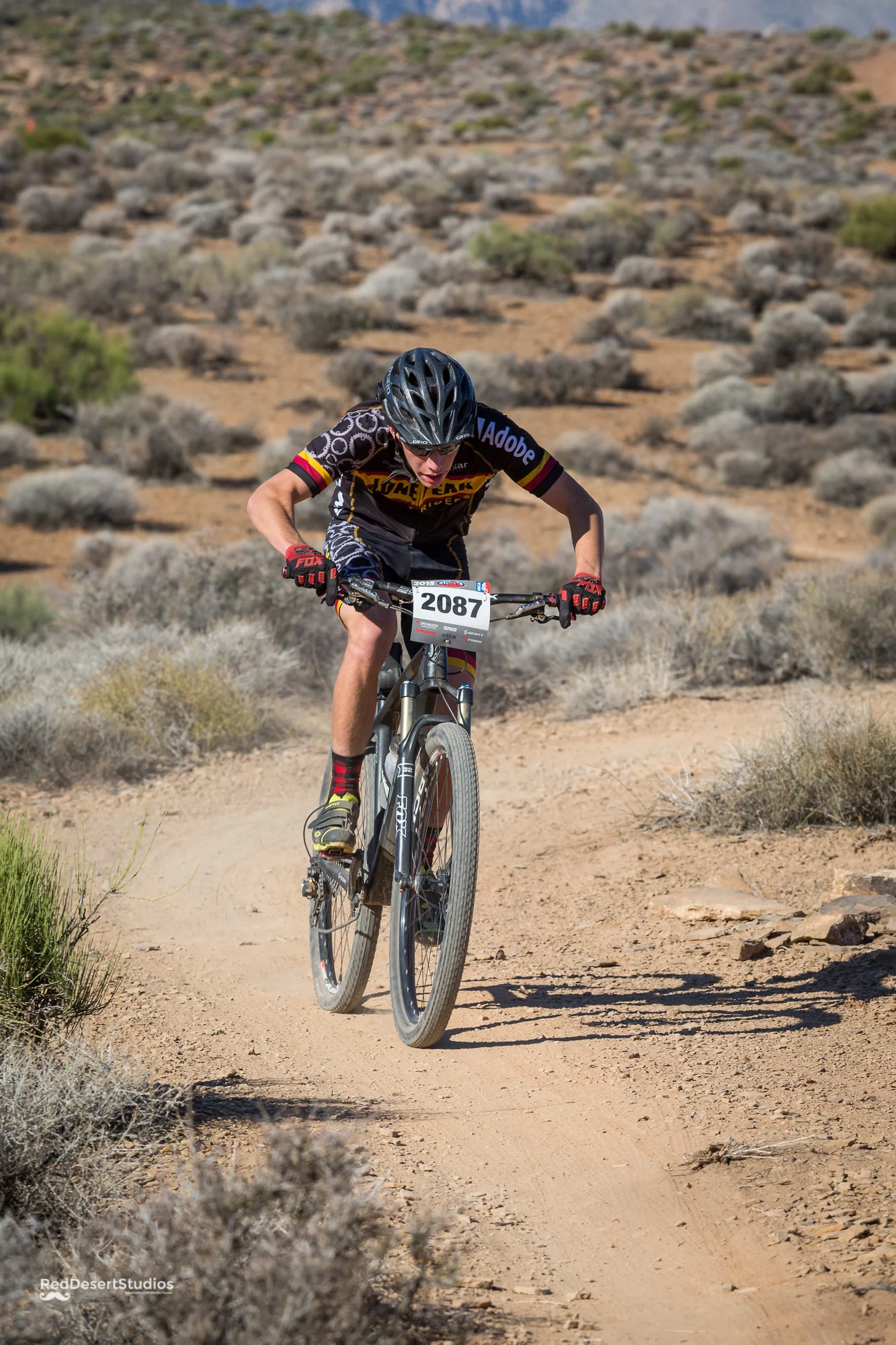 2087 Web (6 of 6).JPG