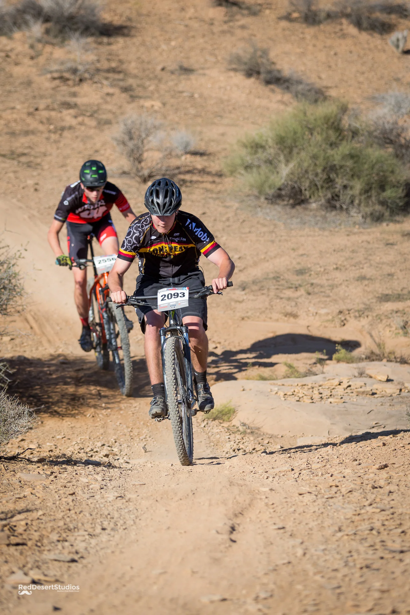 2093 Web (6 of 6).JPG