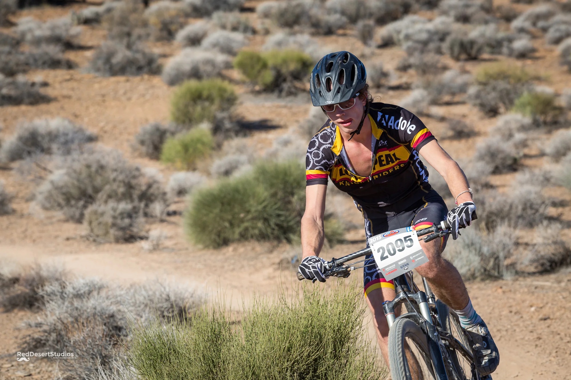 2095 Web (3 of 4).JPG