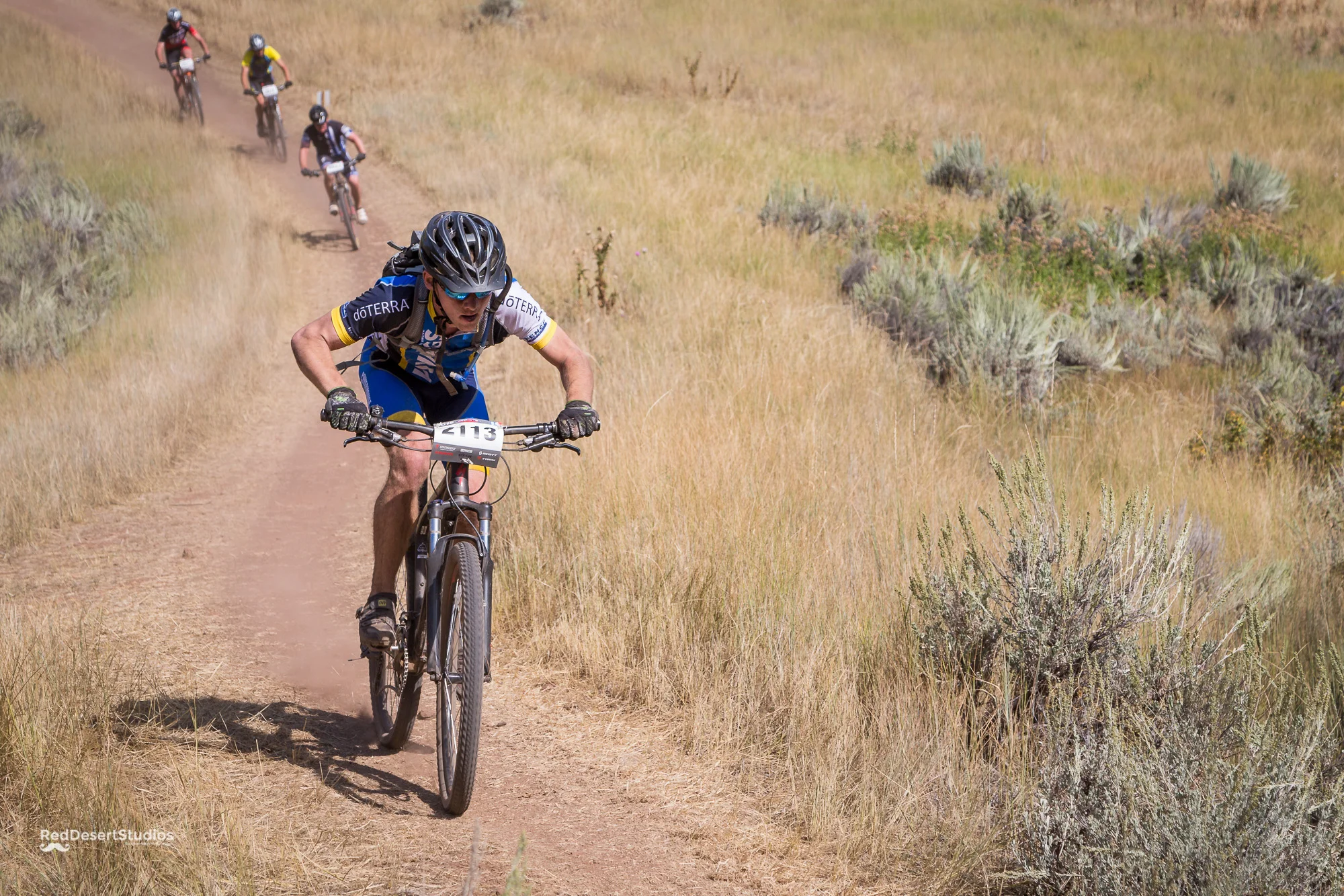 2113 Web (1 of 3).JPG