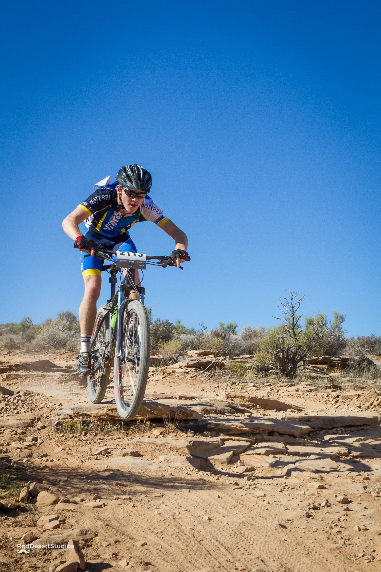 2113 Web (3 of 3).JPG