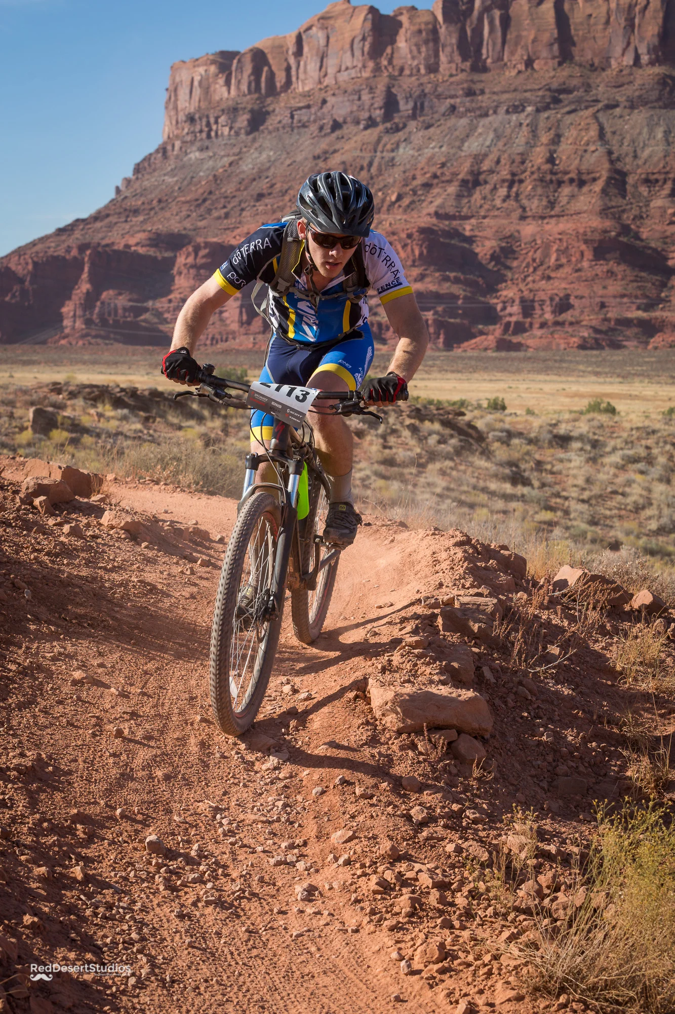 2113 Web (2 of 3).JPG