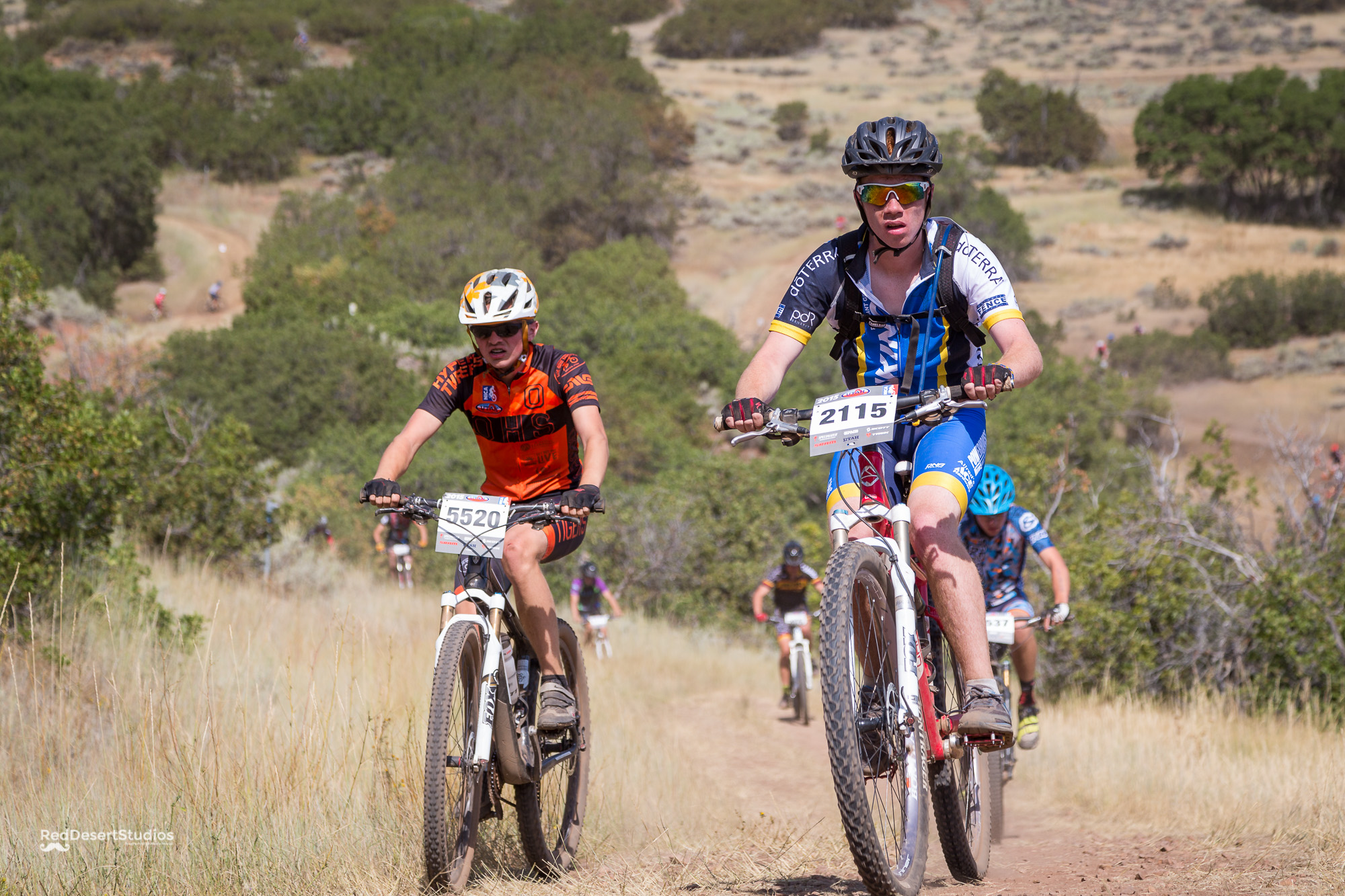 2115 Web (1 of 4).JPG