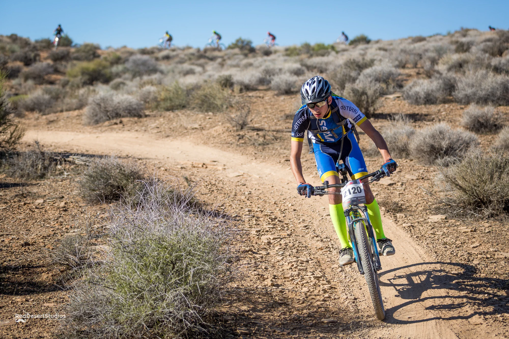 2120 Web (4 of 5).JPG