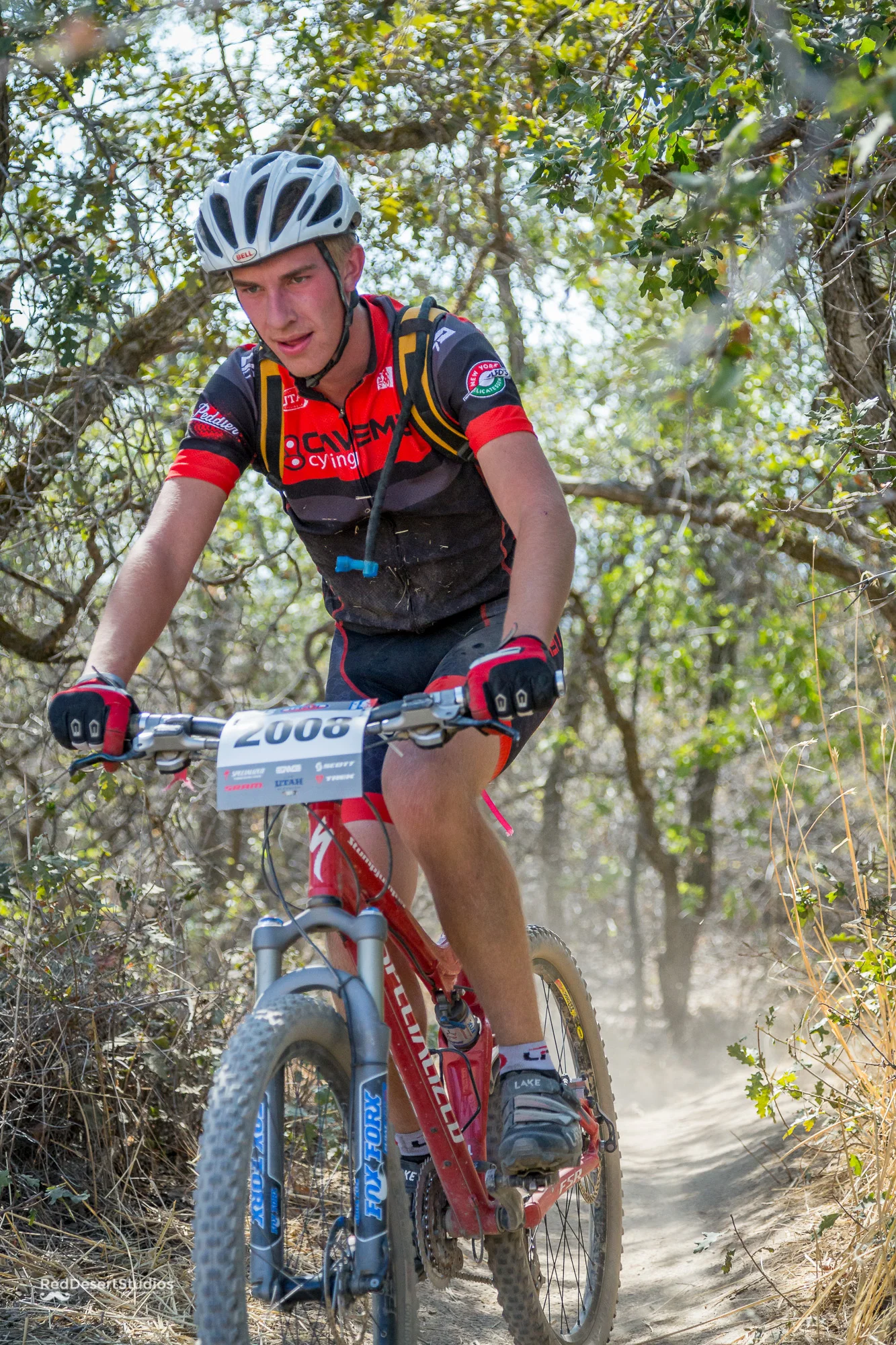 2008 Web (2 of 7).JPG