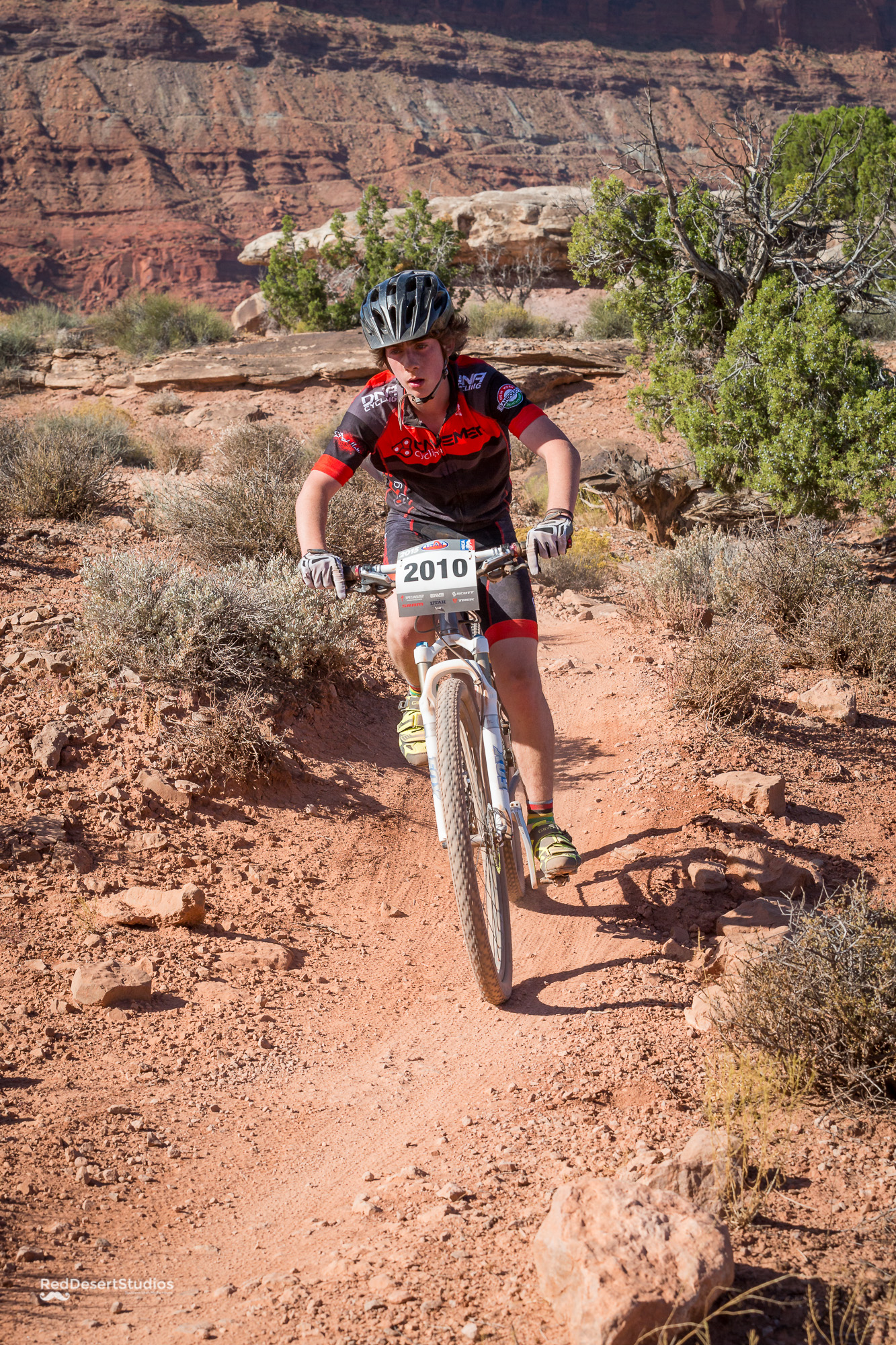 2010 Web (4 of 6).JPG