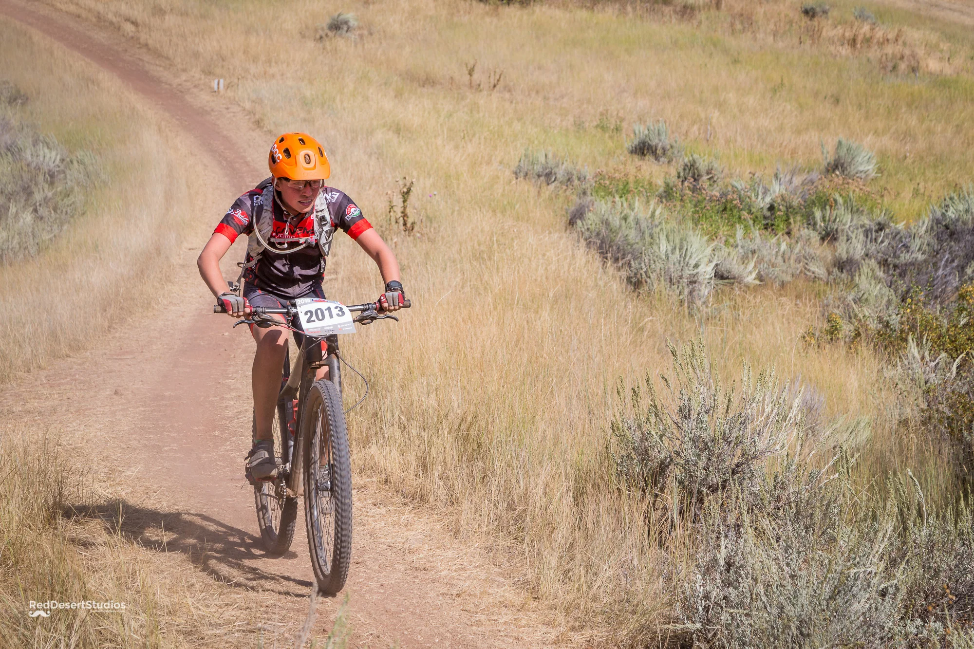 2013 Web (2 of 7).JPG