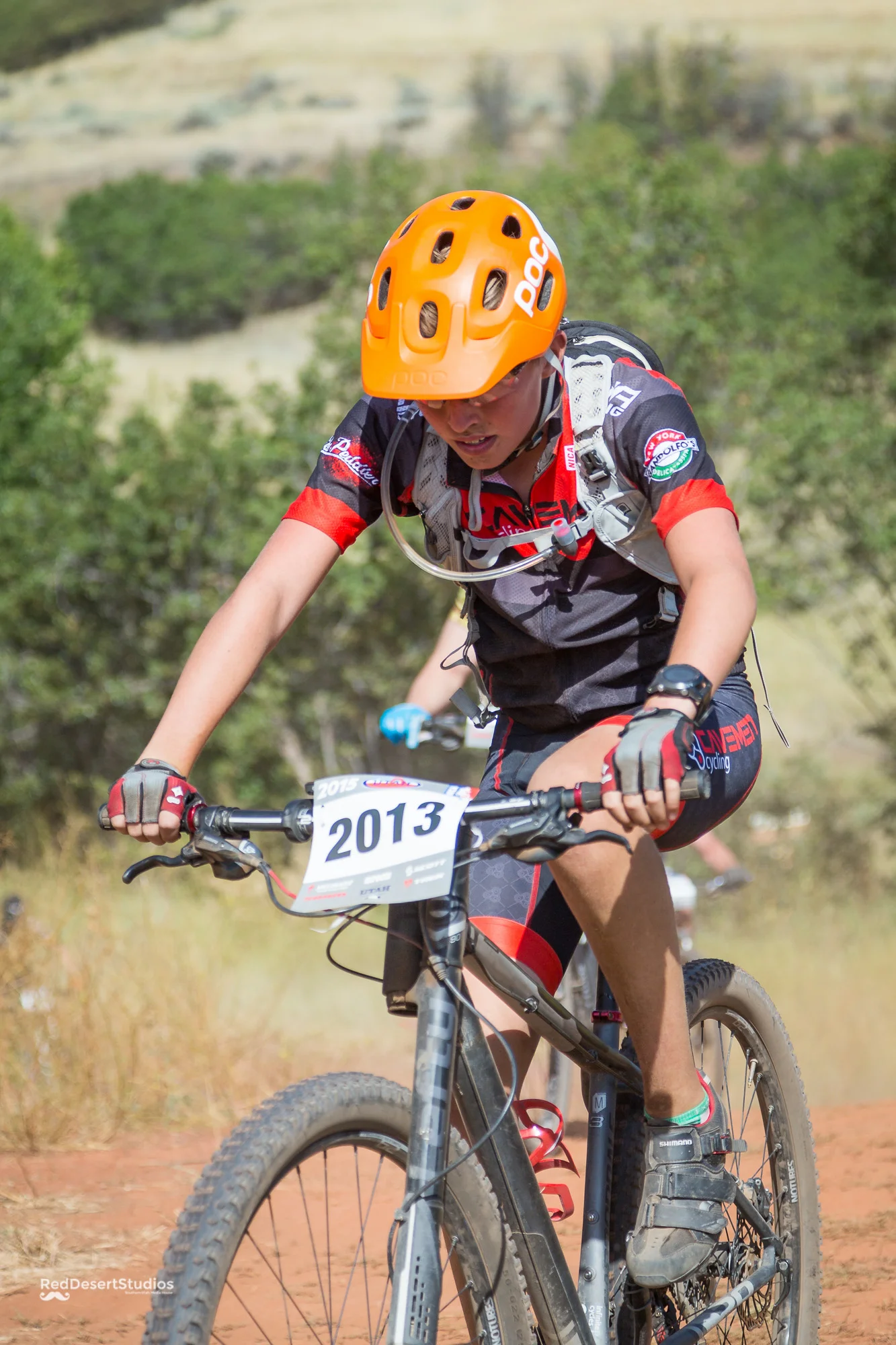 2013 Web (3 of 7).JPG