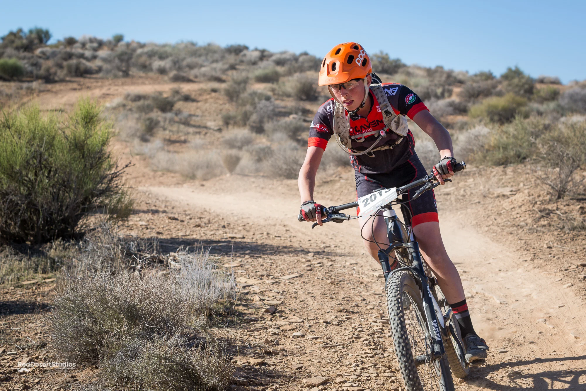 2013 Web (6 of 7).JPG