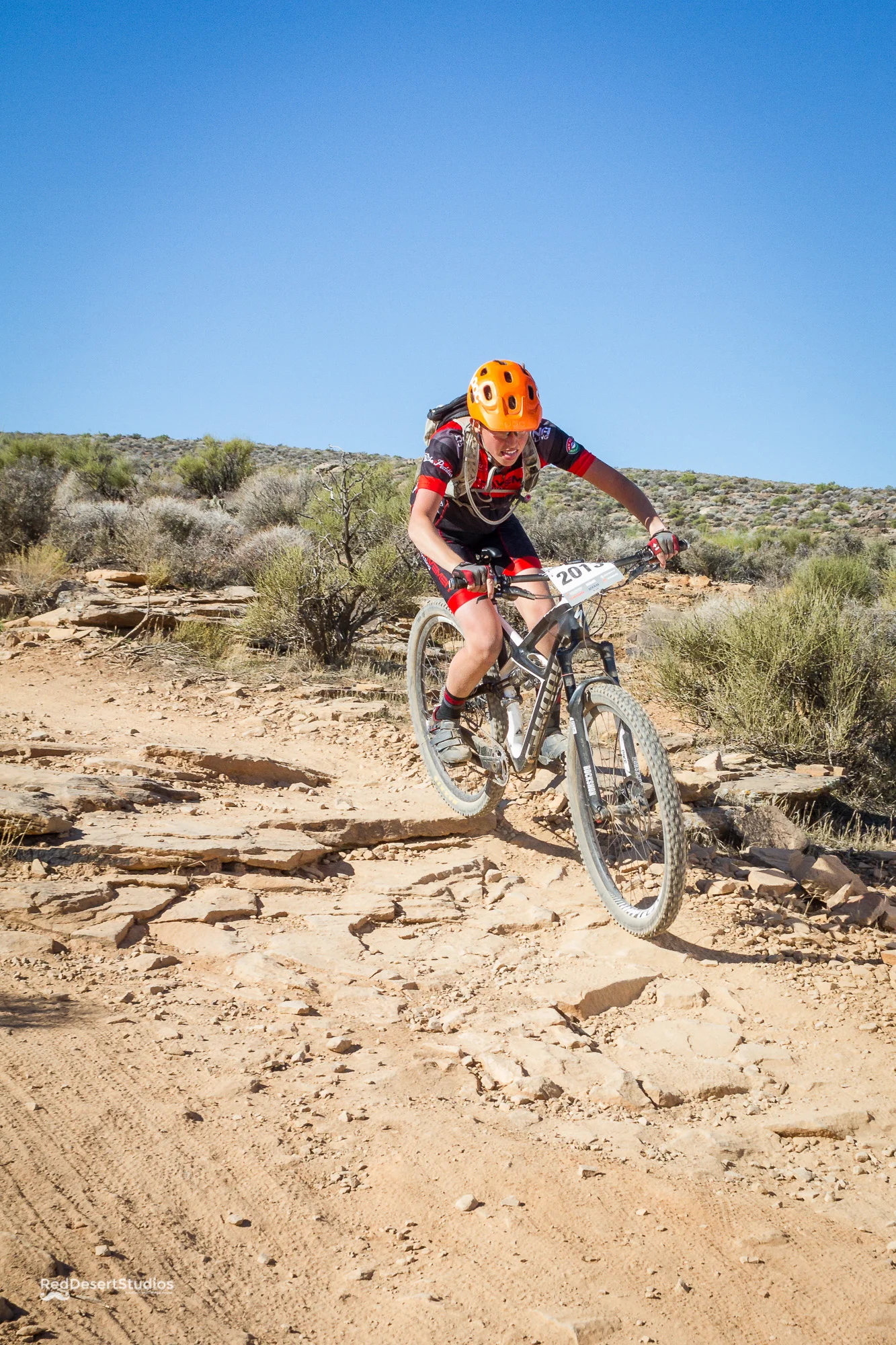 2013 Web (7 of 7).JPG