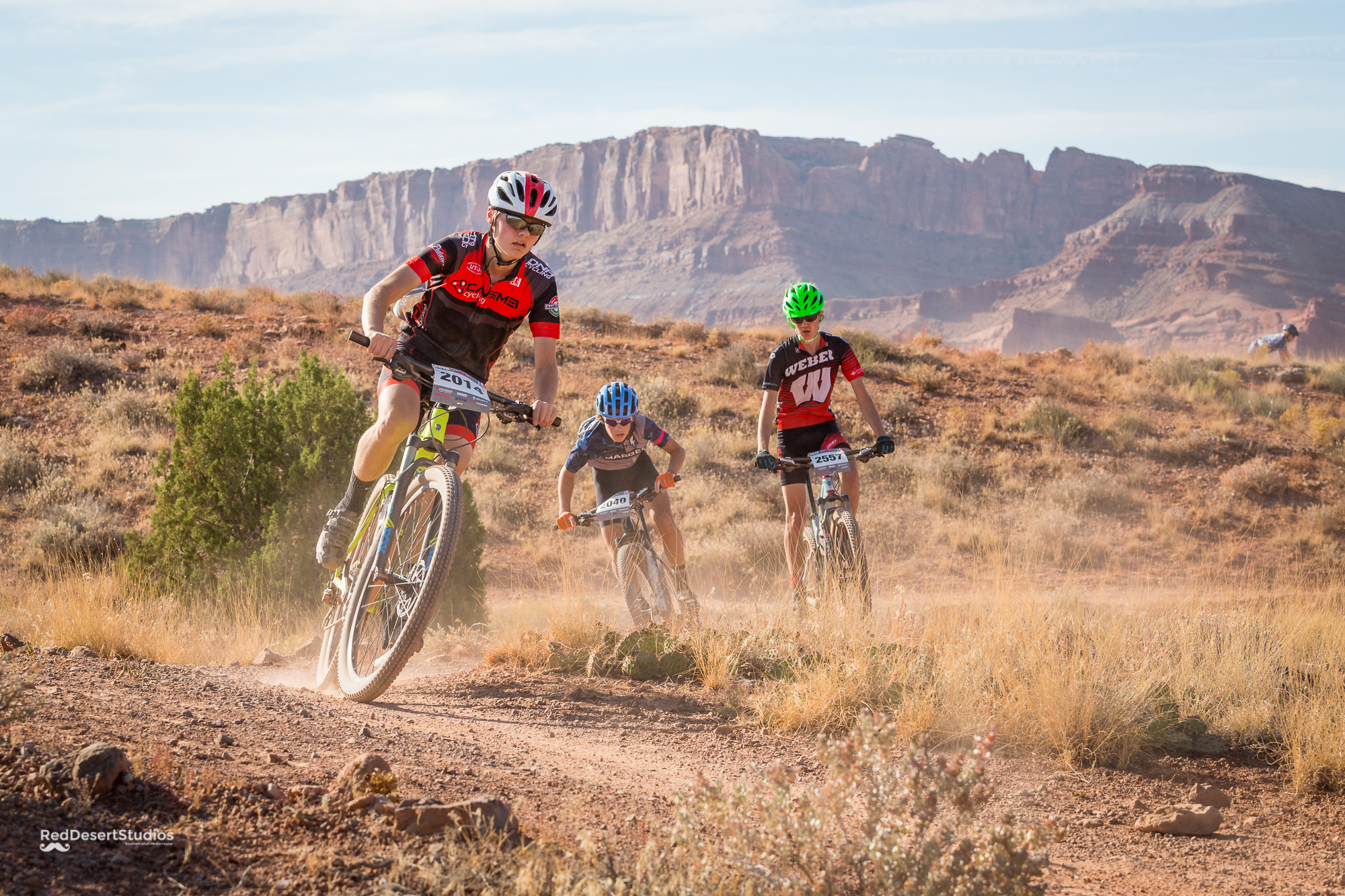 2014 Web (1 of 4).JPG