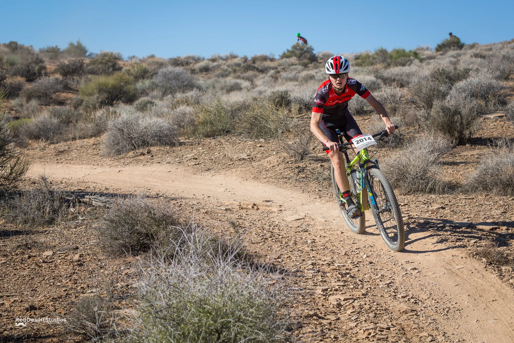 2014 Web (2 of 4).JPG