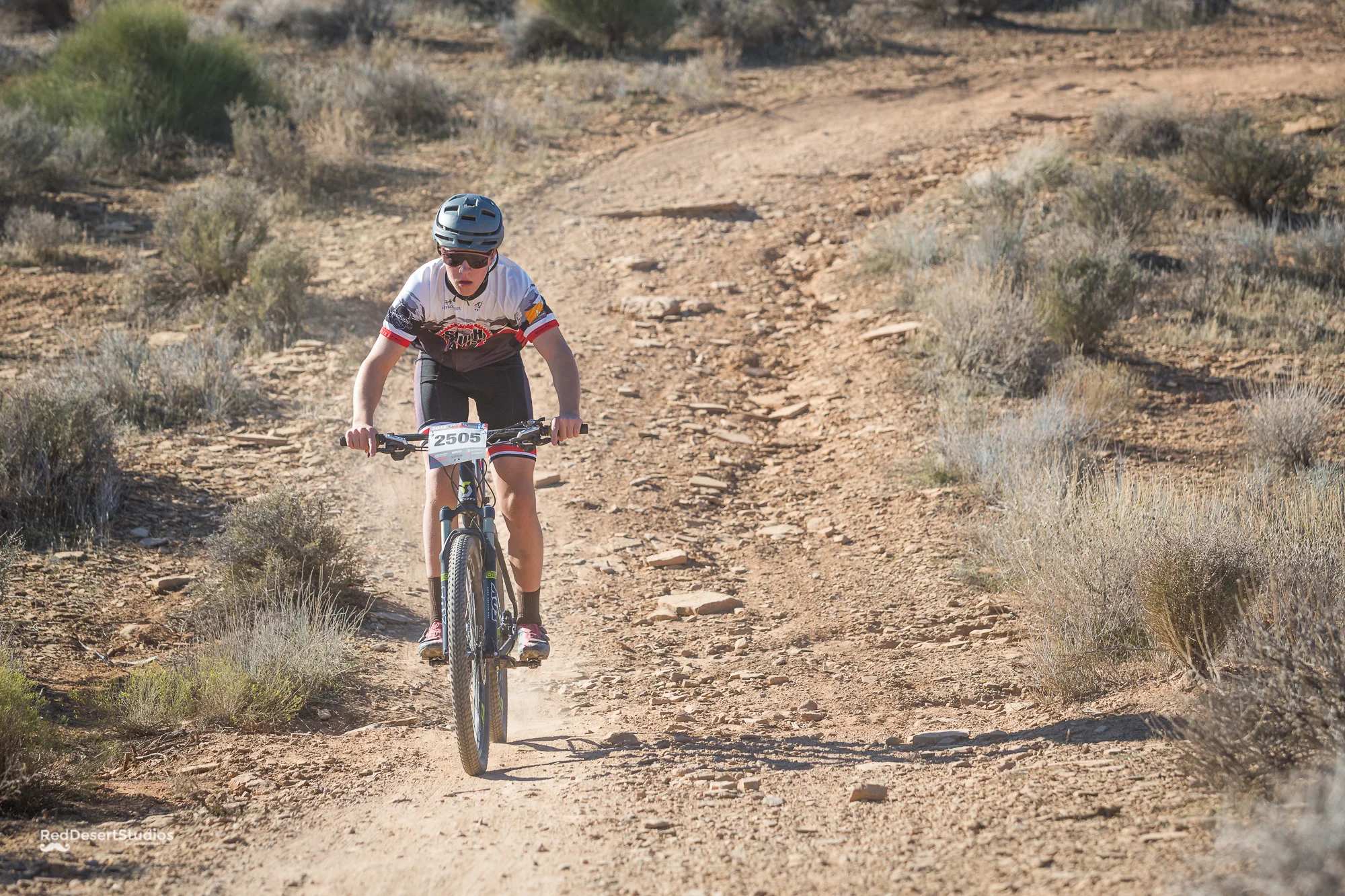 2505 Web (3 of 4).JPG