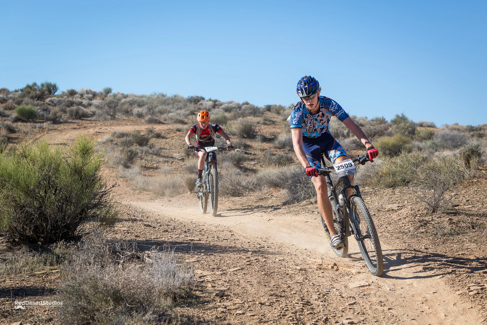 2509 Web (8 of 9).JPG