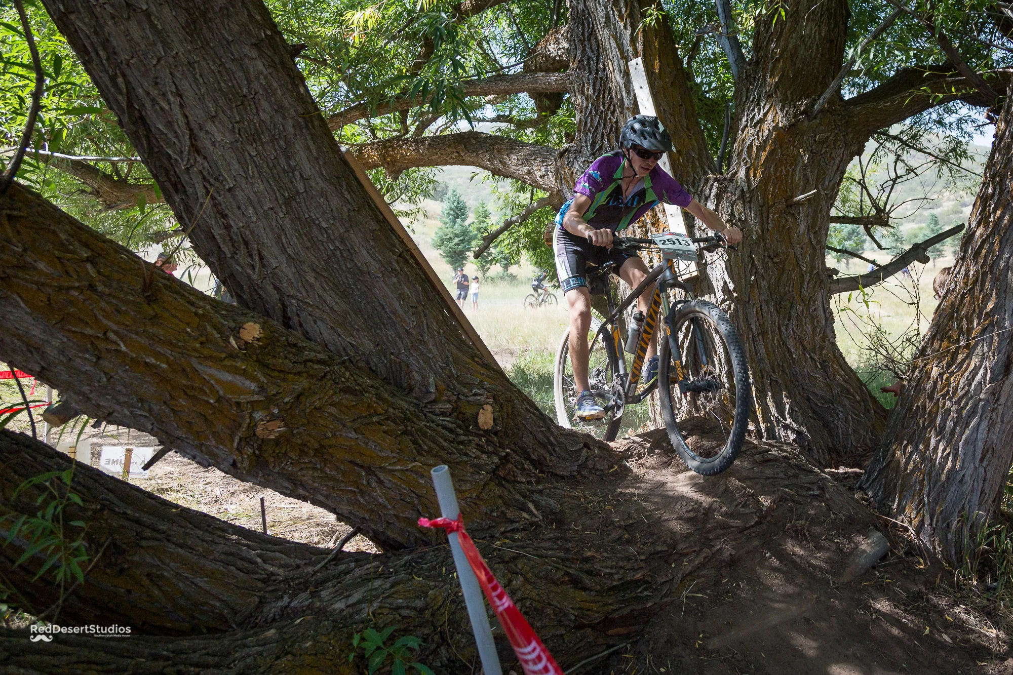 2513 Web (1 of 5).JPG