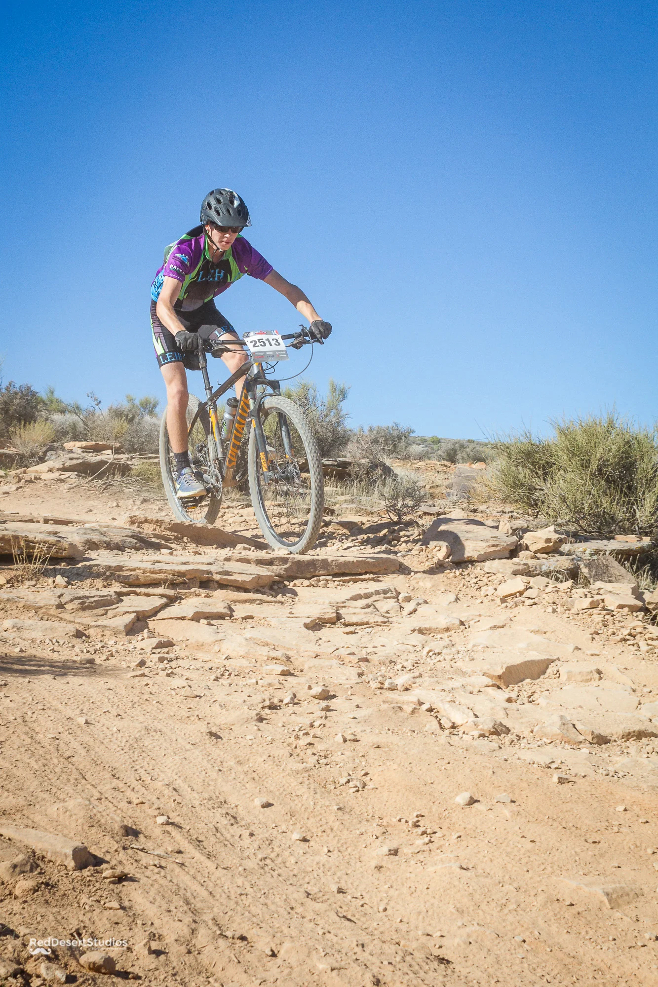 2513 Web (5 of 5).JPG