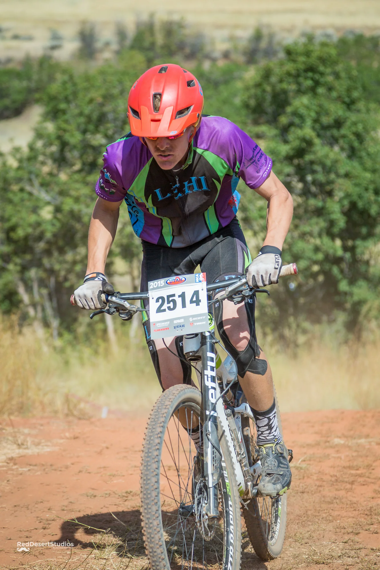 2514 Web (1 of 4).JPG