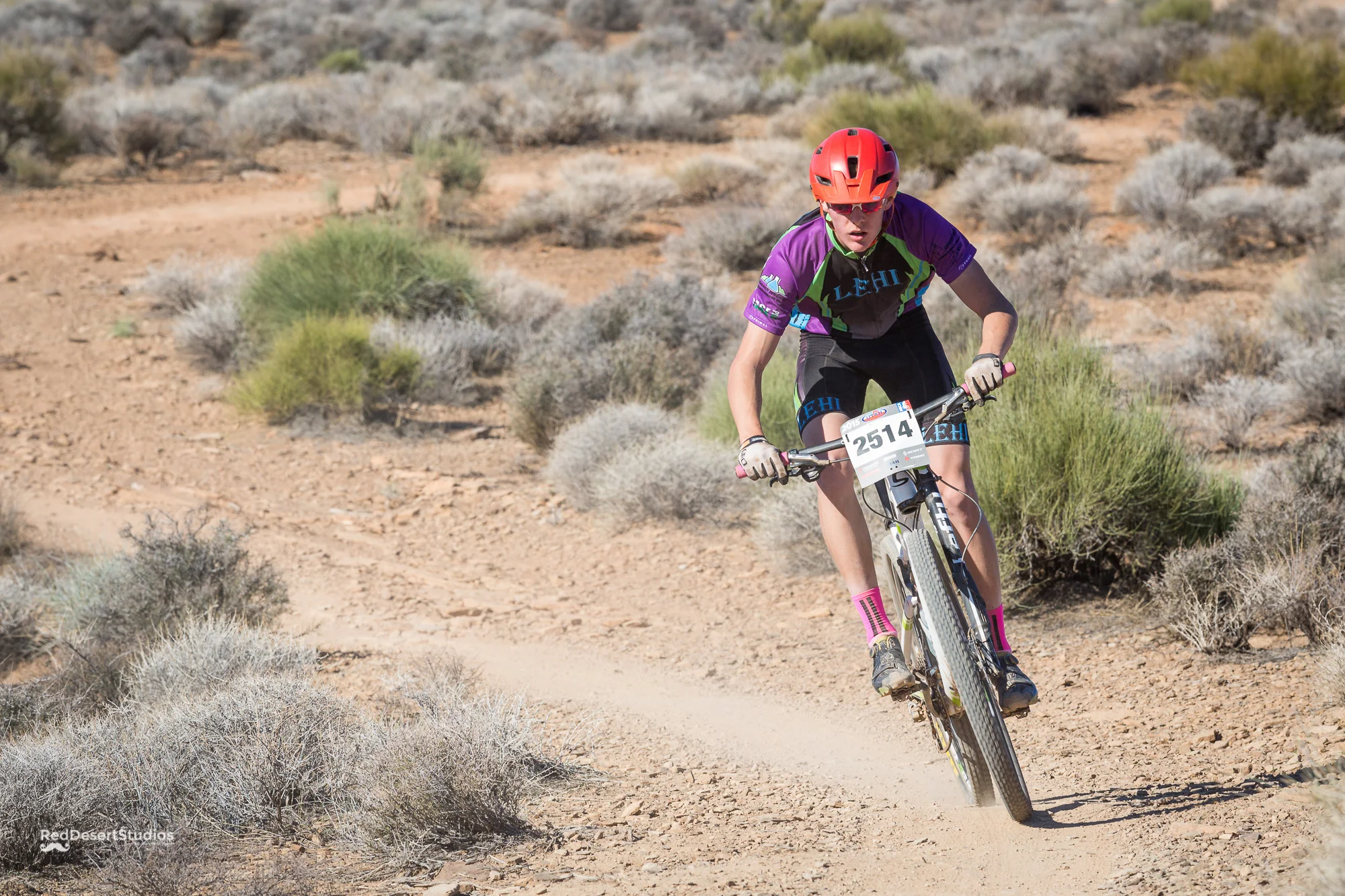 2514 Web (4 of 4).JPG