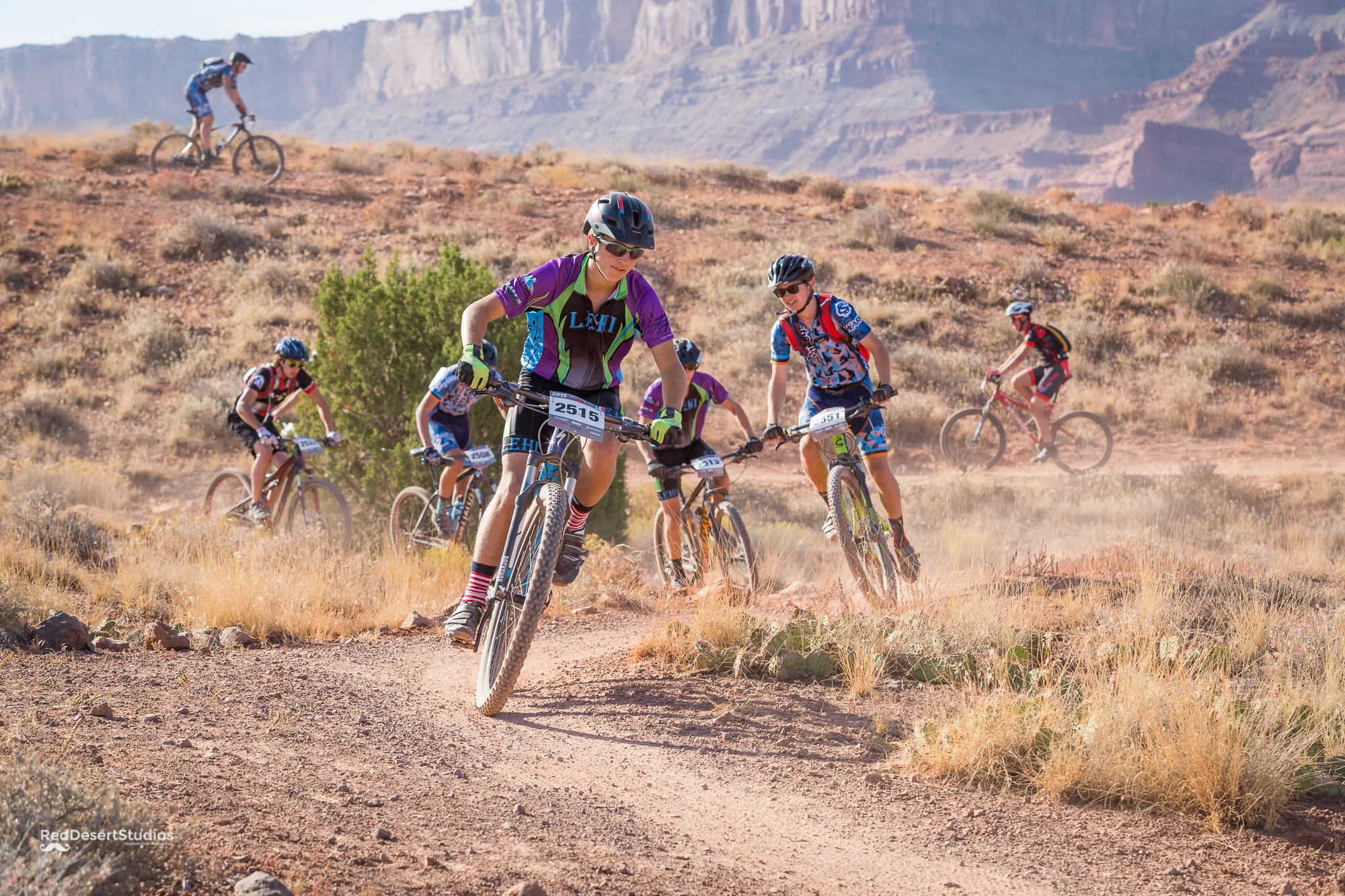 2515 Web (4 of 7).JPG