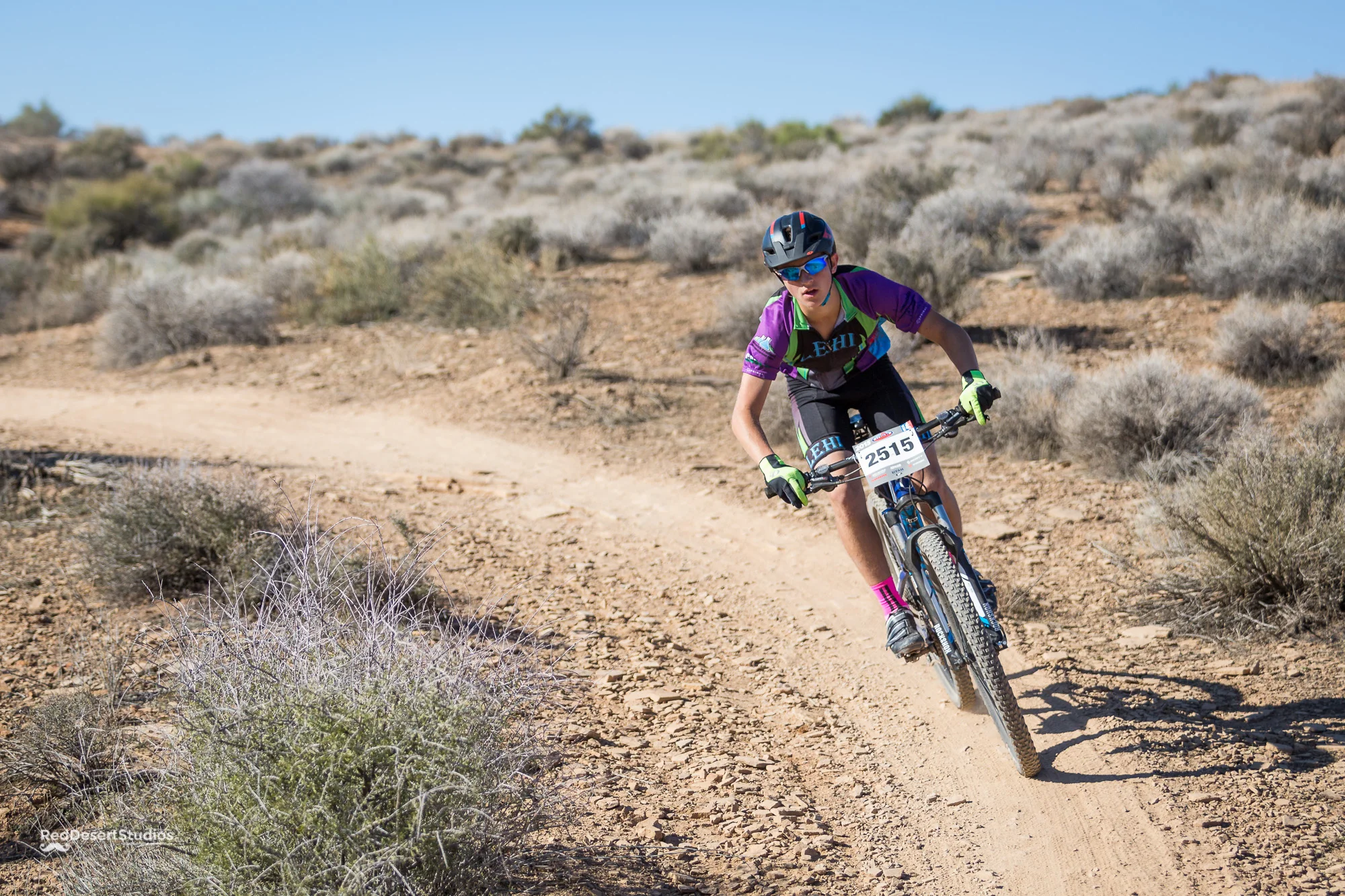 2515 Web (6 of 7).JPG