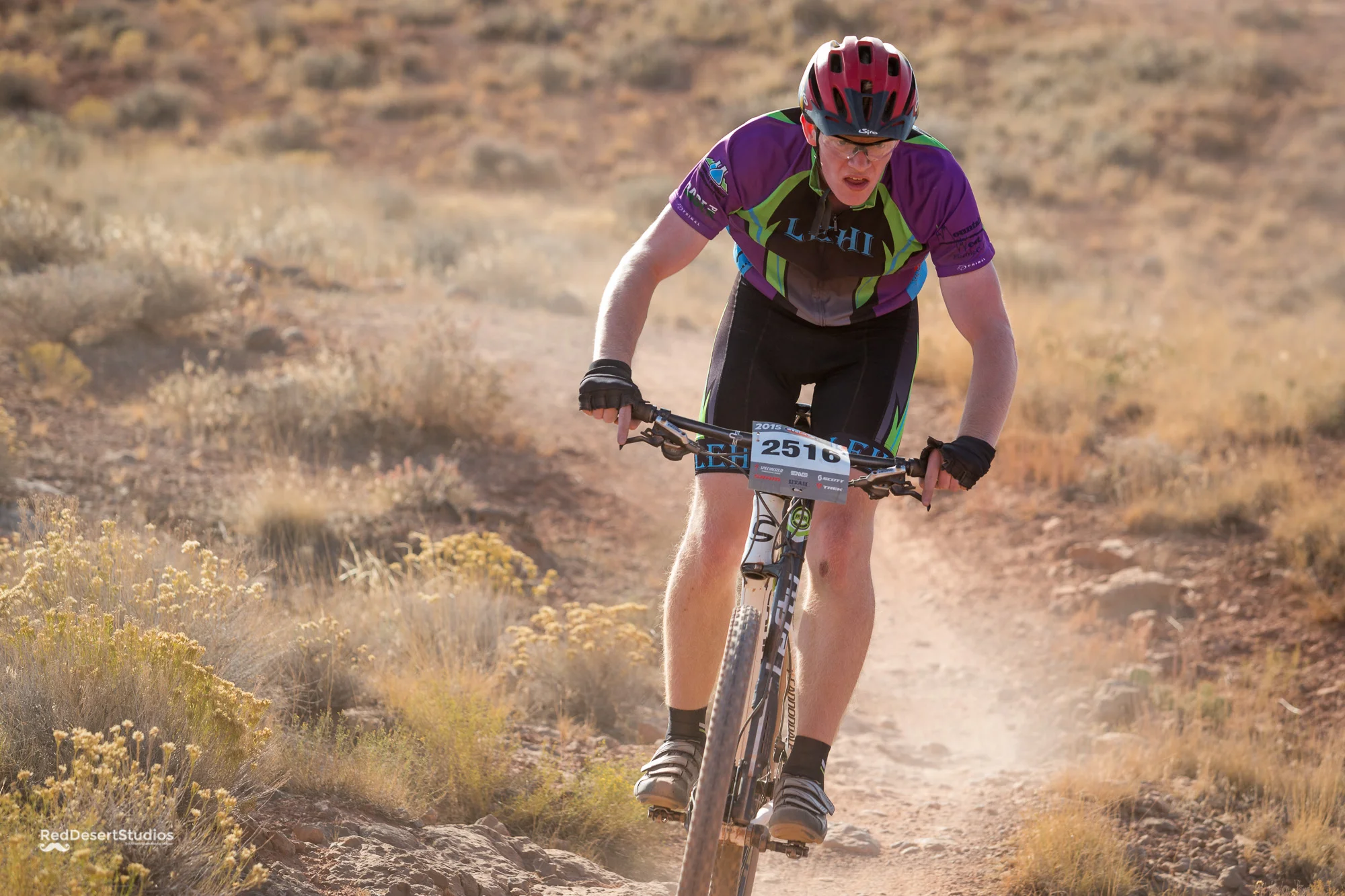 2516 Web (3 of 6).JPG